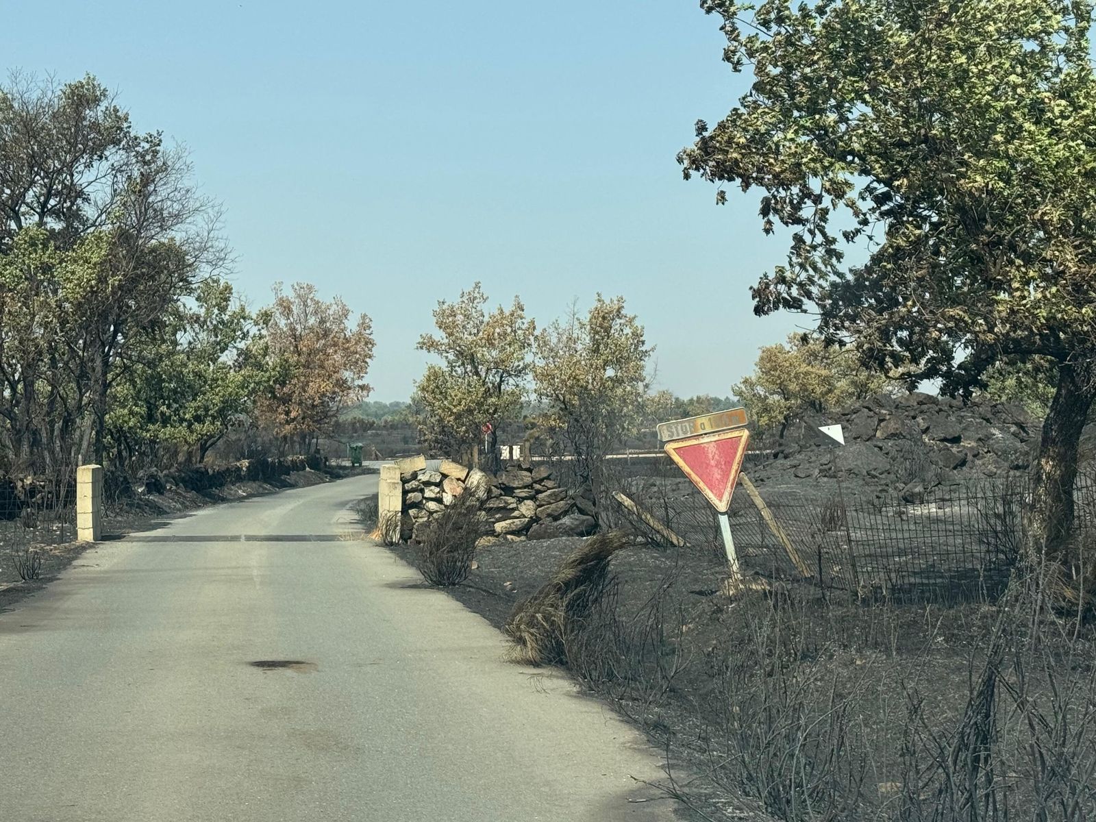 Así han quedado las zonas quemadas de Cipérez