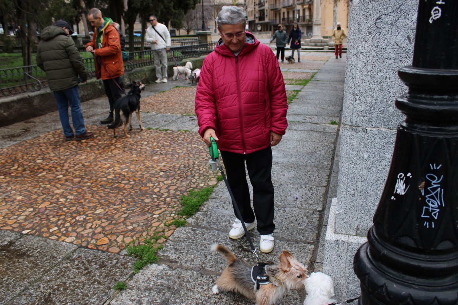 san-anton-bendicion-de-animales-2024-foto-s24h-10