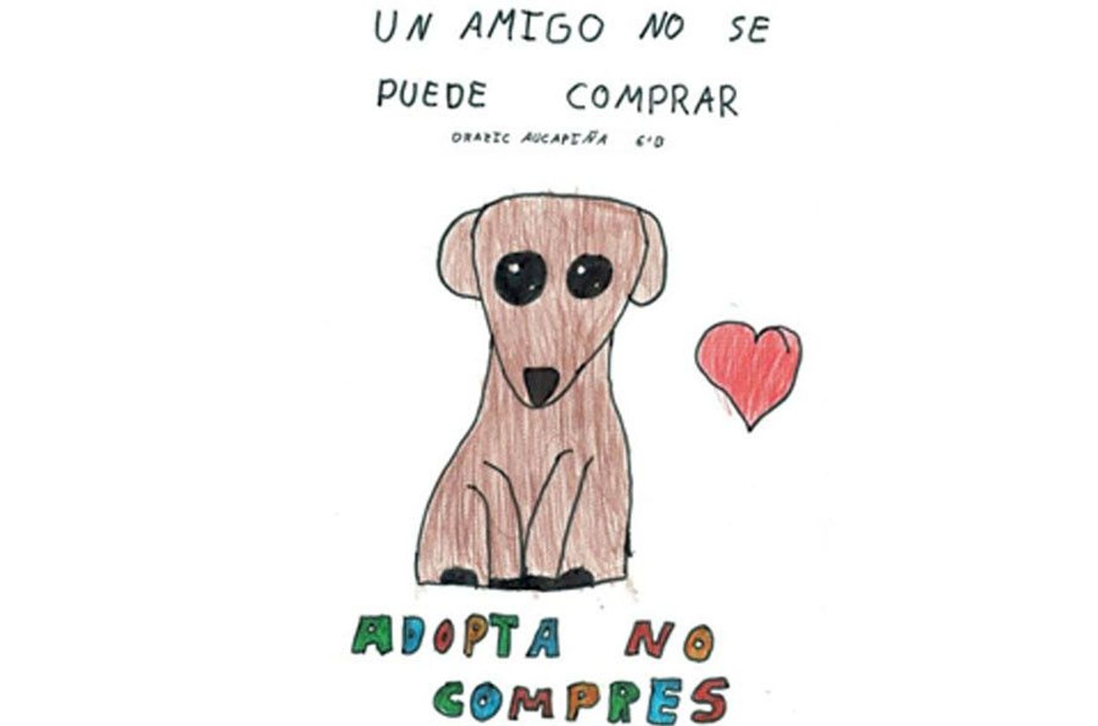 Adopta animales campaña