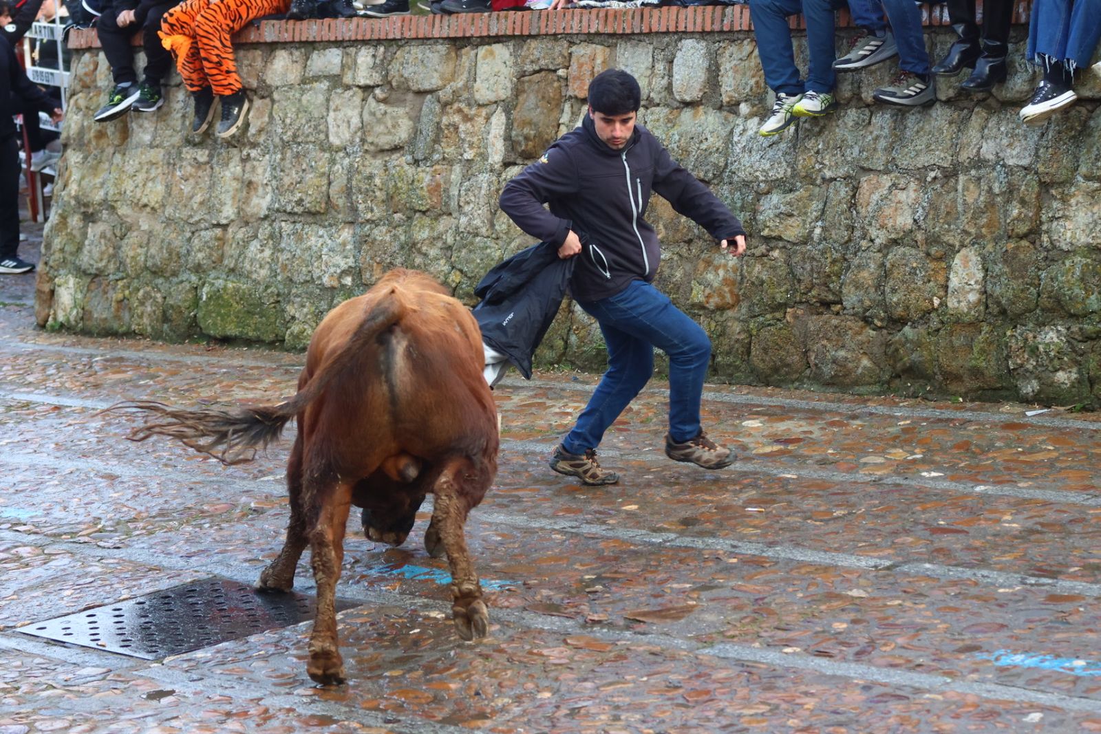 Toro del aguardiente en la mañana de martes del Carnaval del Toro 2026