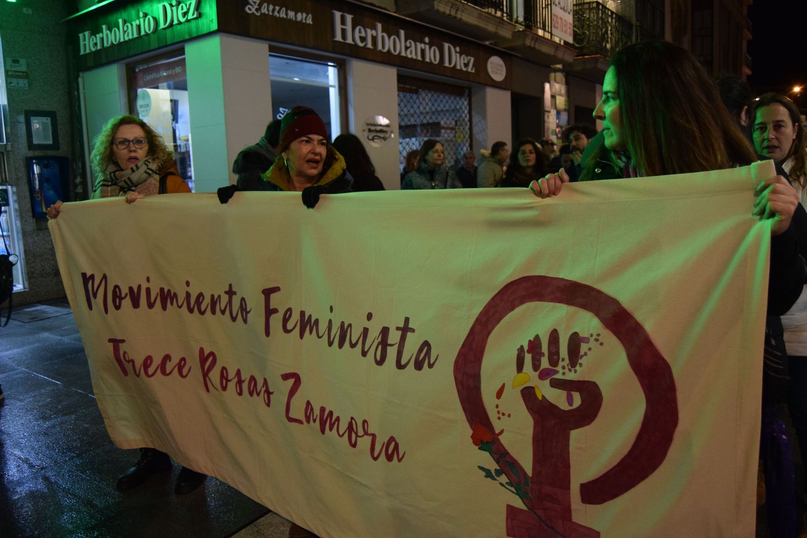 manifestacion-por-el-8m-en-zamora-70