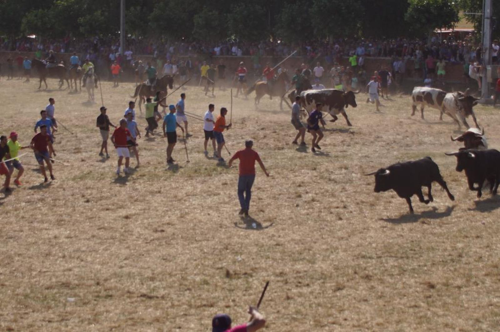 espantes-de-fuentesauco-30