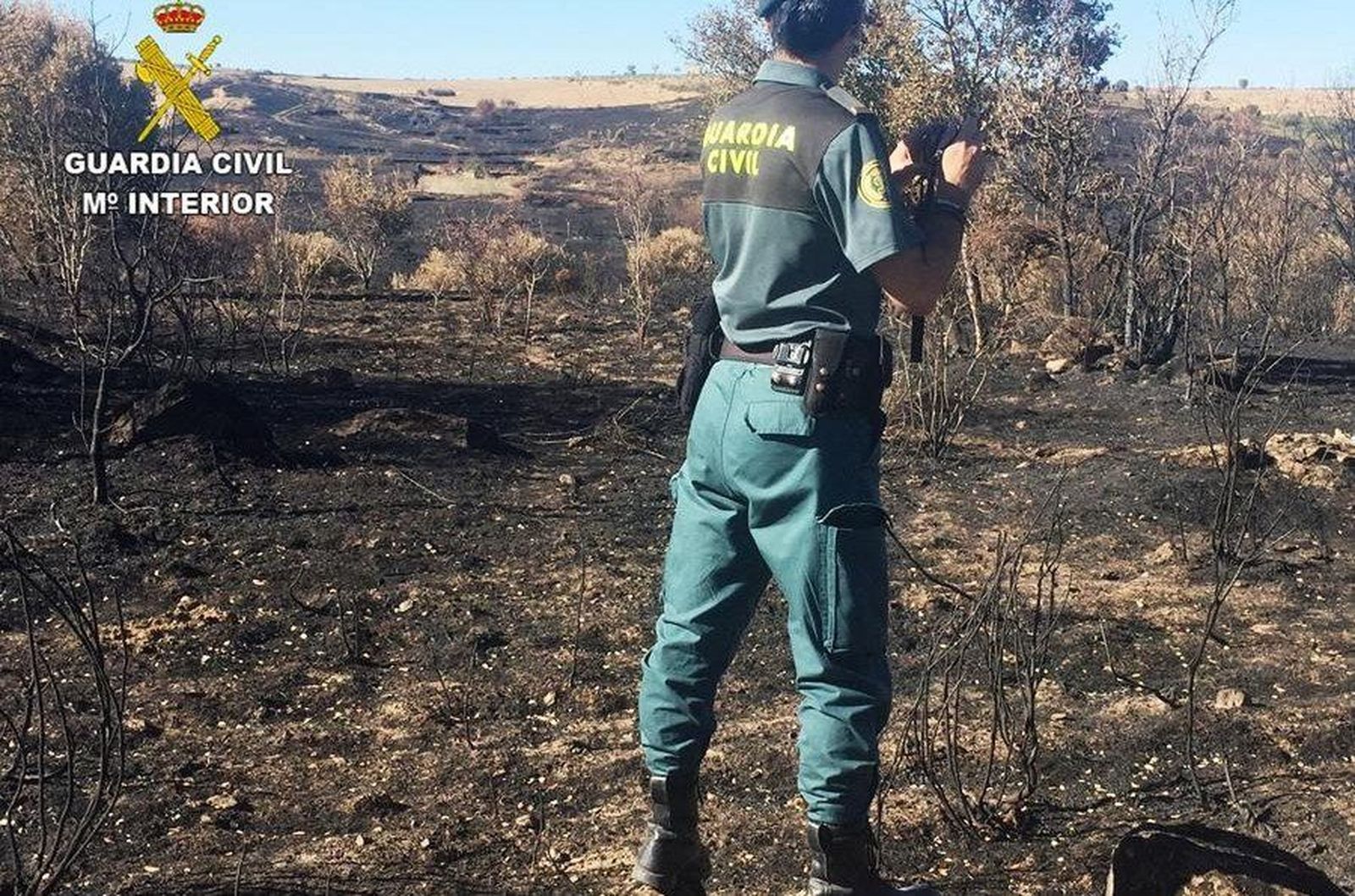 Investigado un vecino de la zona como presunto autor del incendio de Pino del Oro