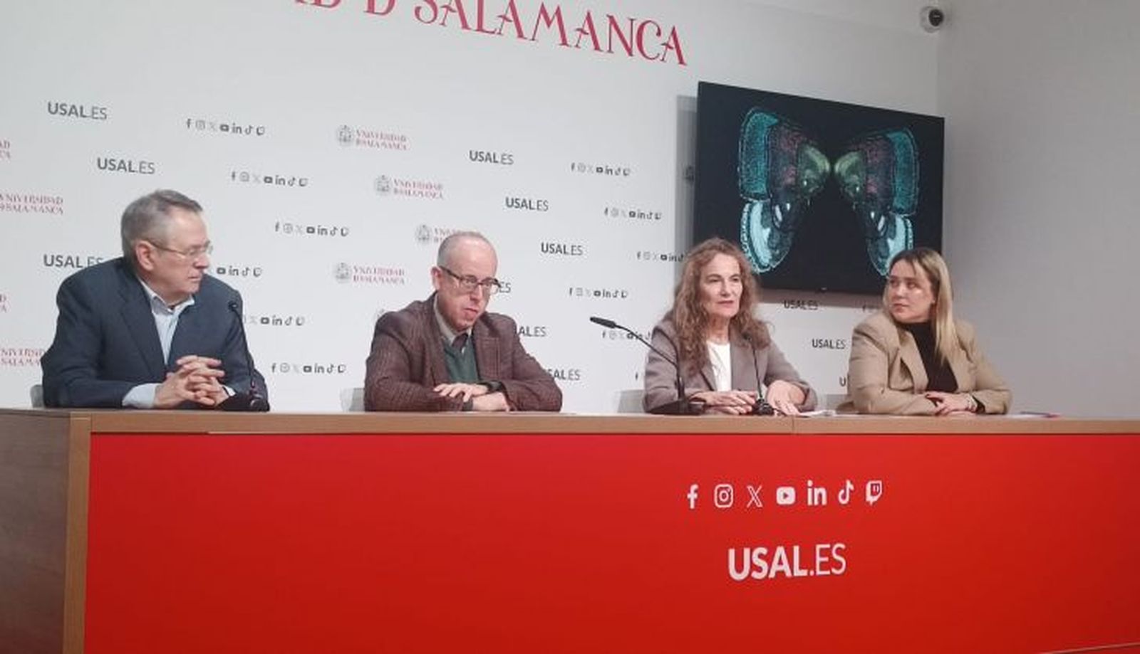 WhatsApp Image 2025 03 04 at 13.13.24 (1)