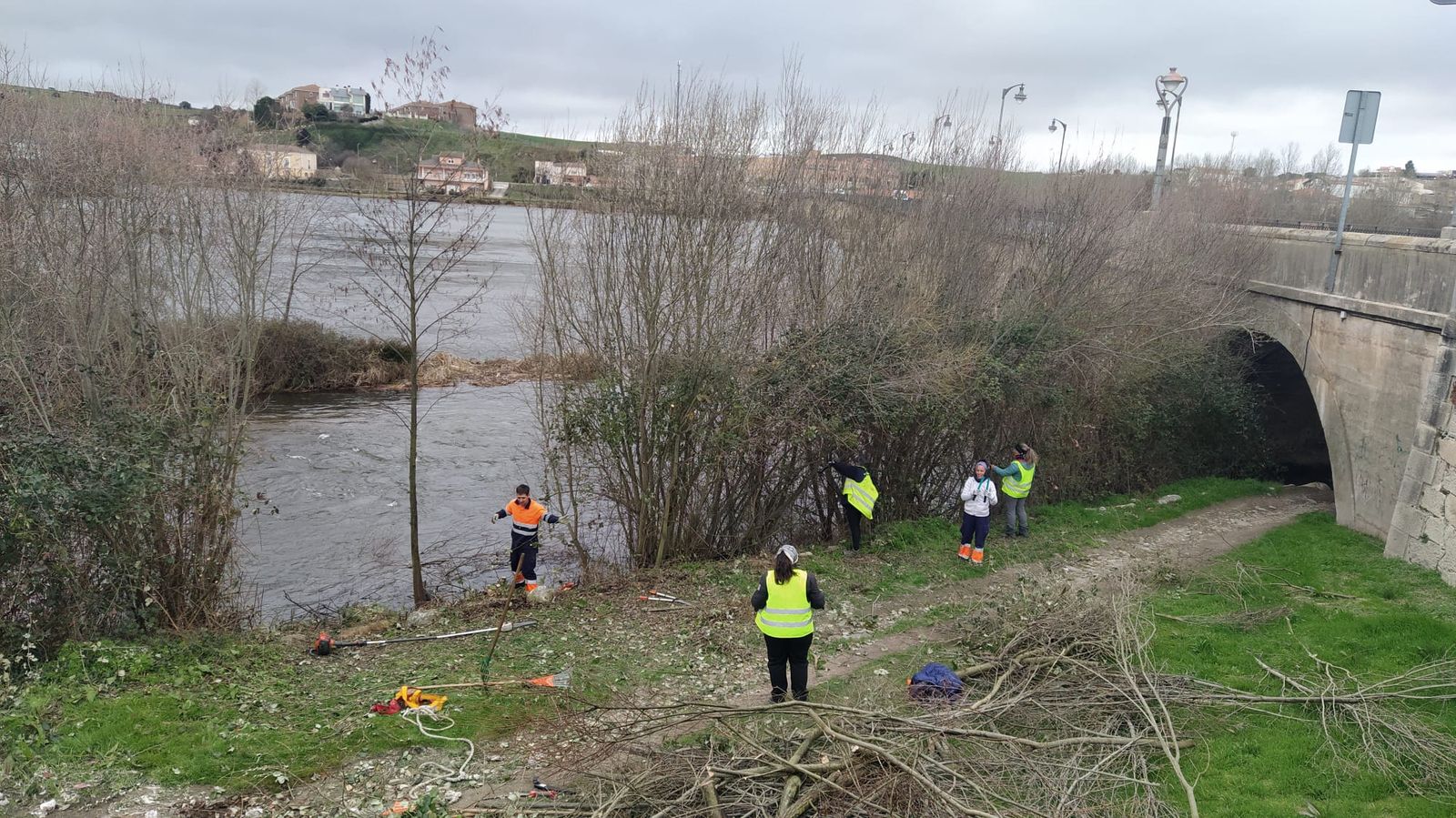 Limpieza ribera del Tormes en Alba