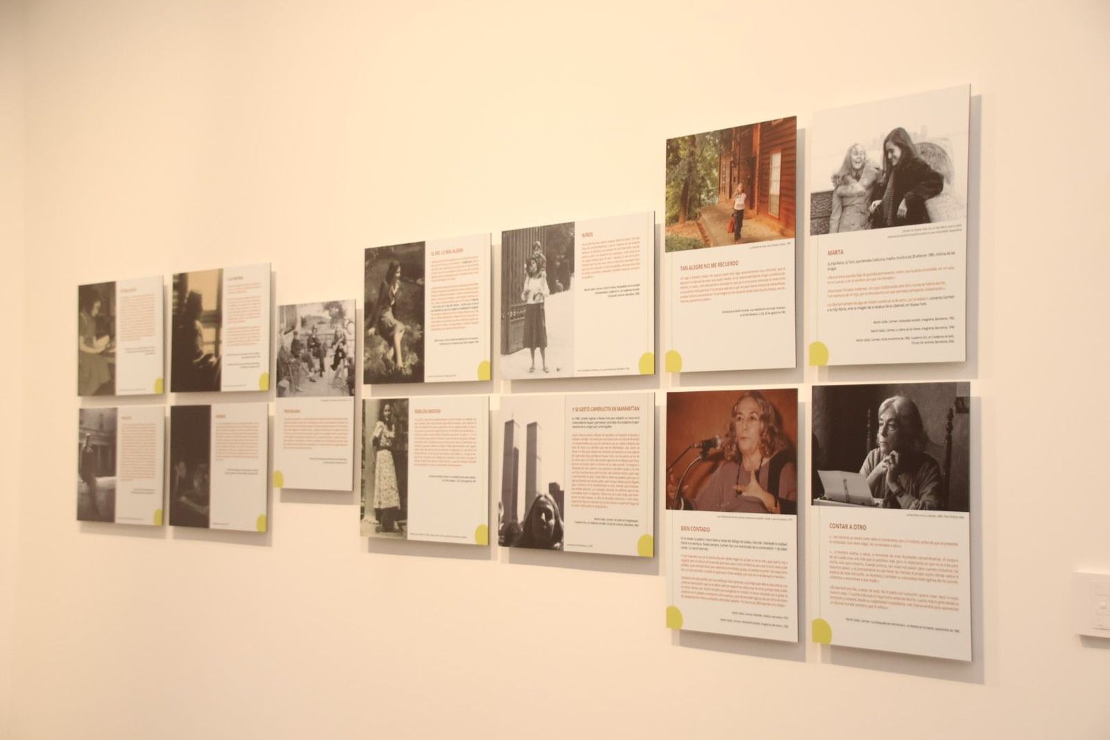 20240425092245-img-1172