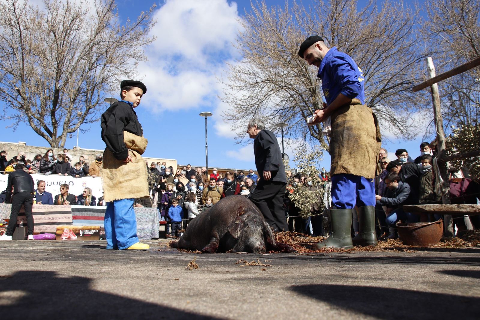 20220219141656-mg-8120