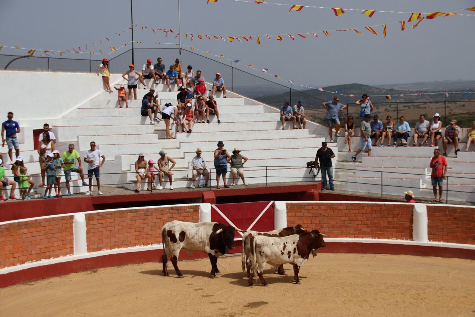 20230809115136-img-9586