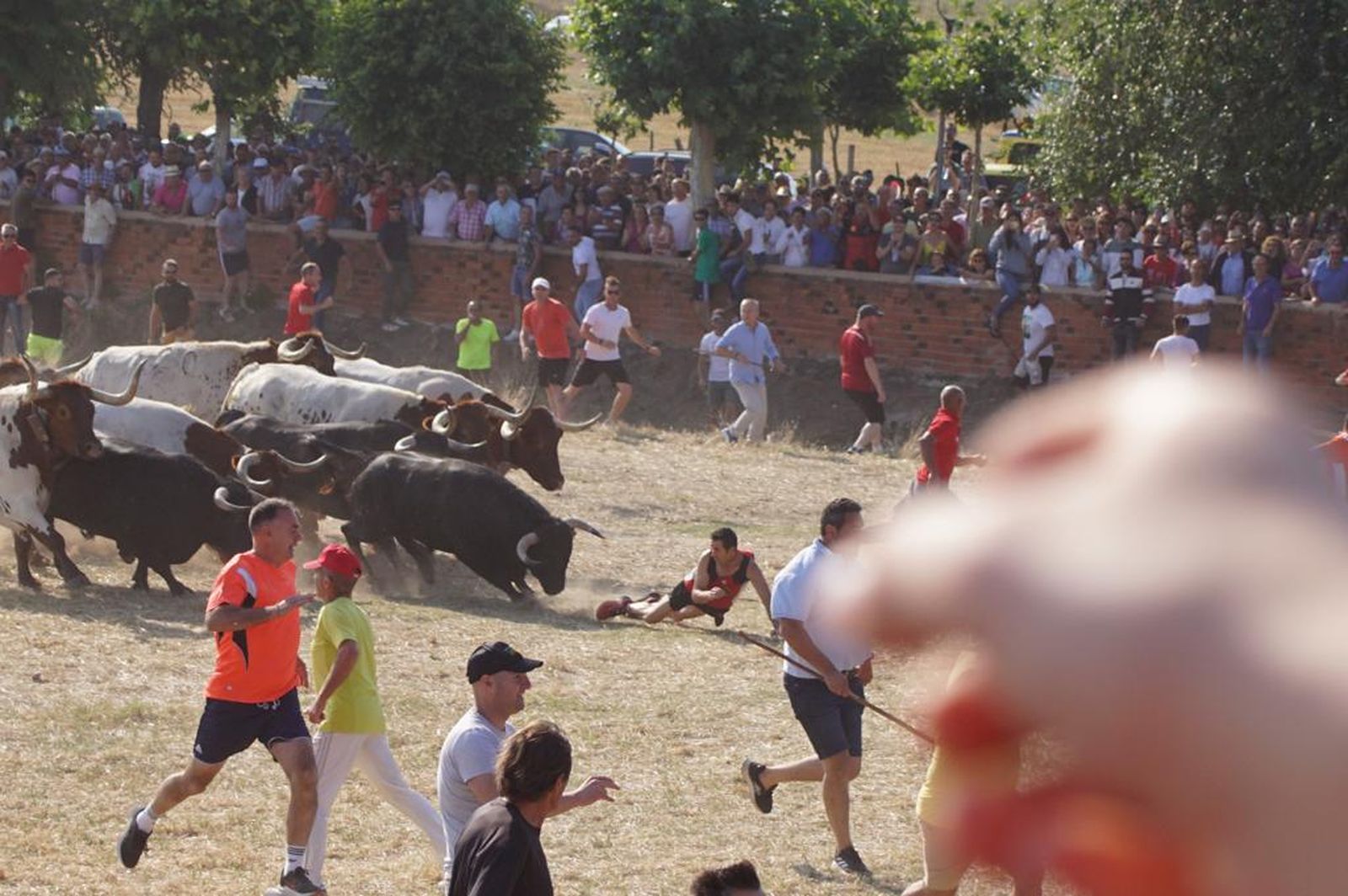 espantes-de-fuentesauco-20