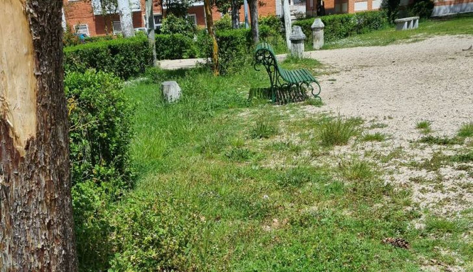 Fotografía facilita por el PP de Peñaranda sobre la situación del Parque de los Jardines