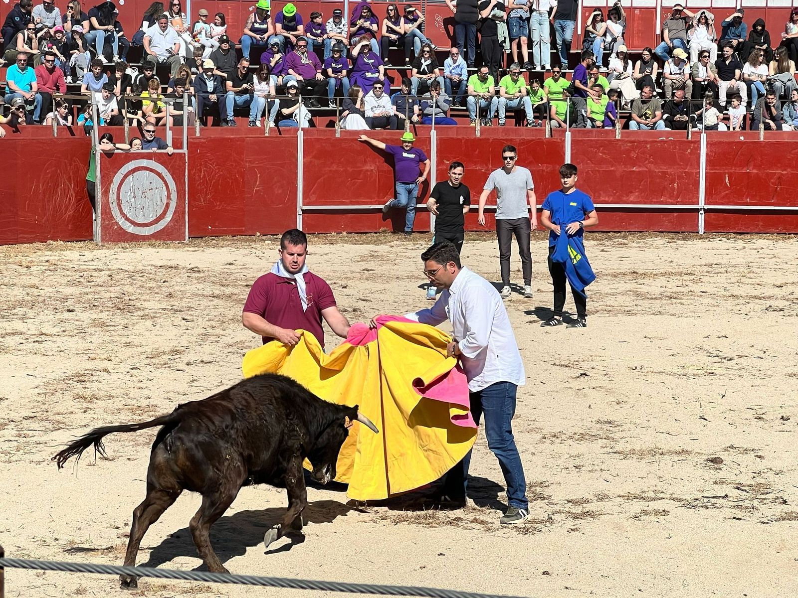 whatsapp-image-2025-04-26-at-19-44-35