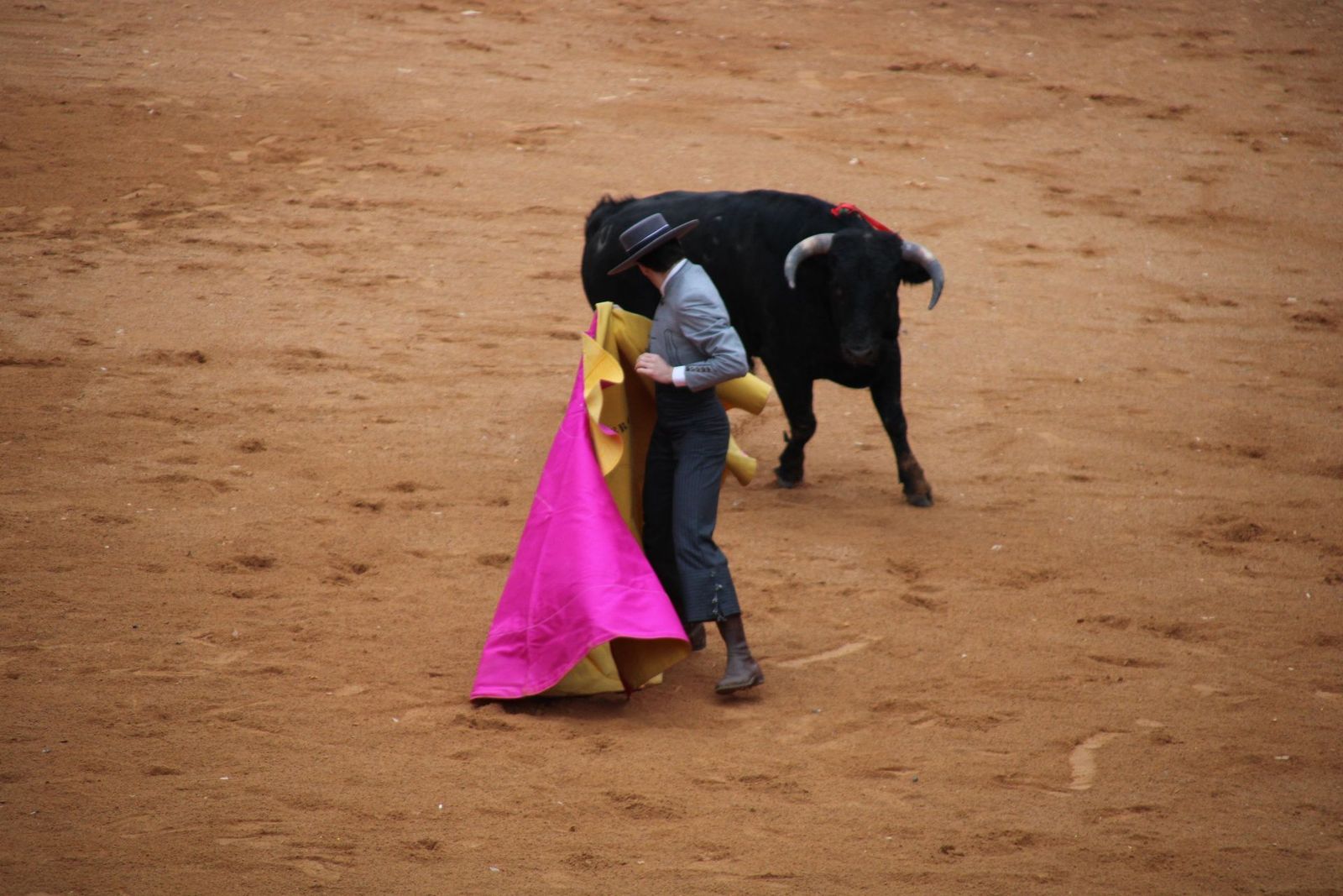 whatsapp-image-2025-03-02-at-18-53-57