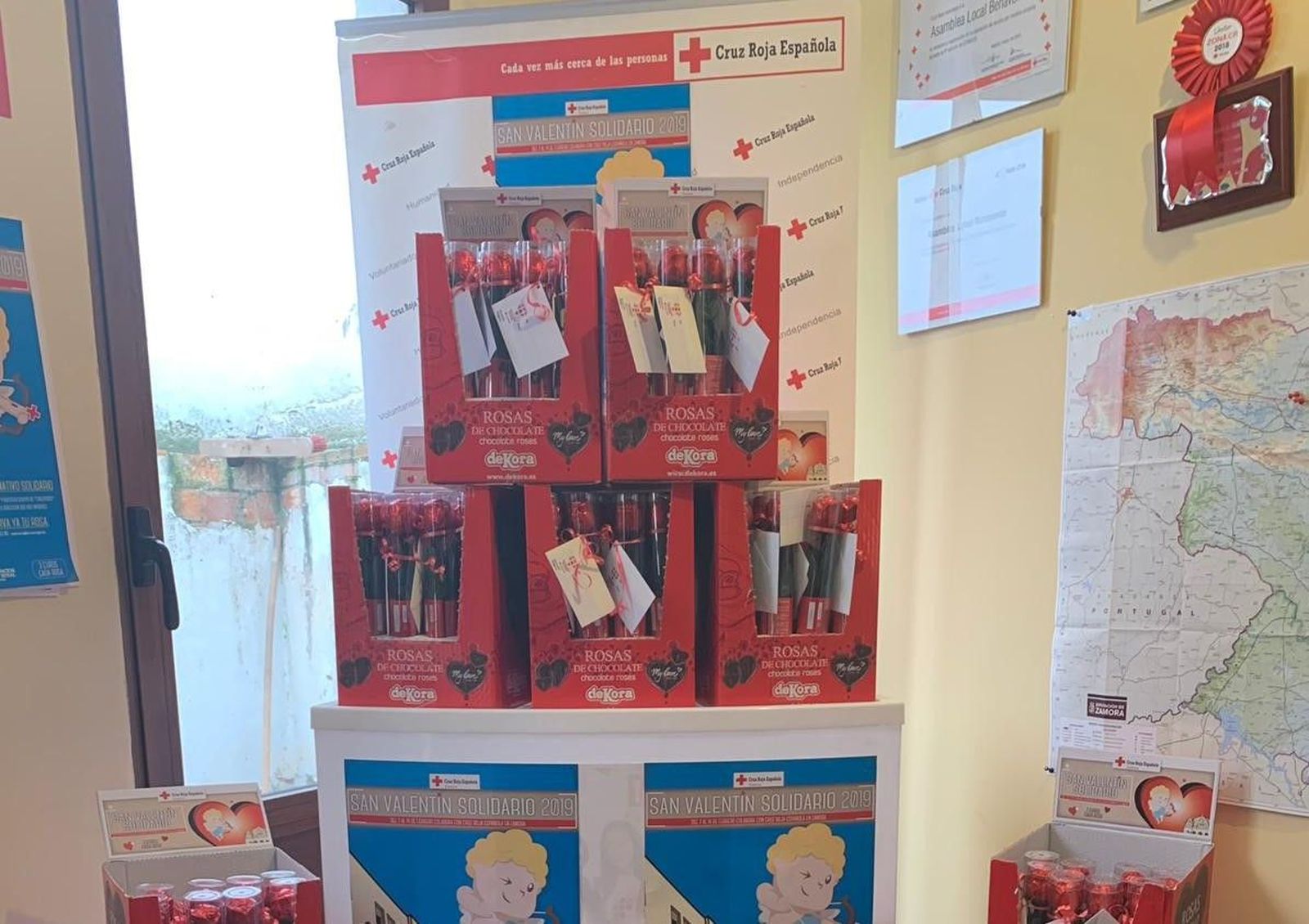 PHOTO 2019 02 12 08 24 30