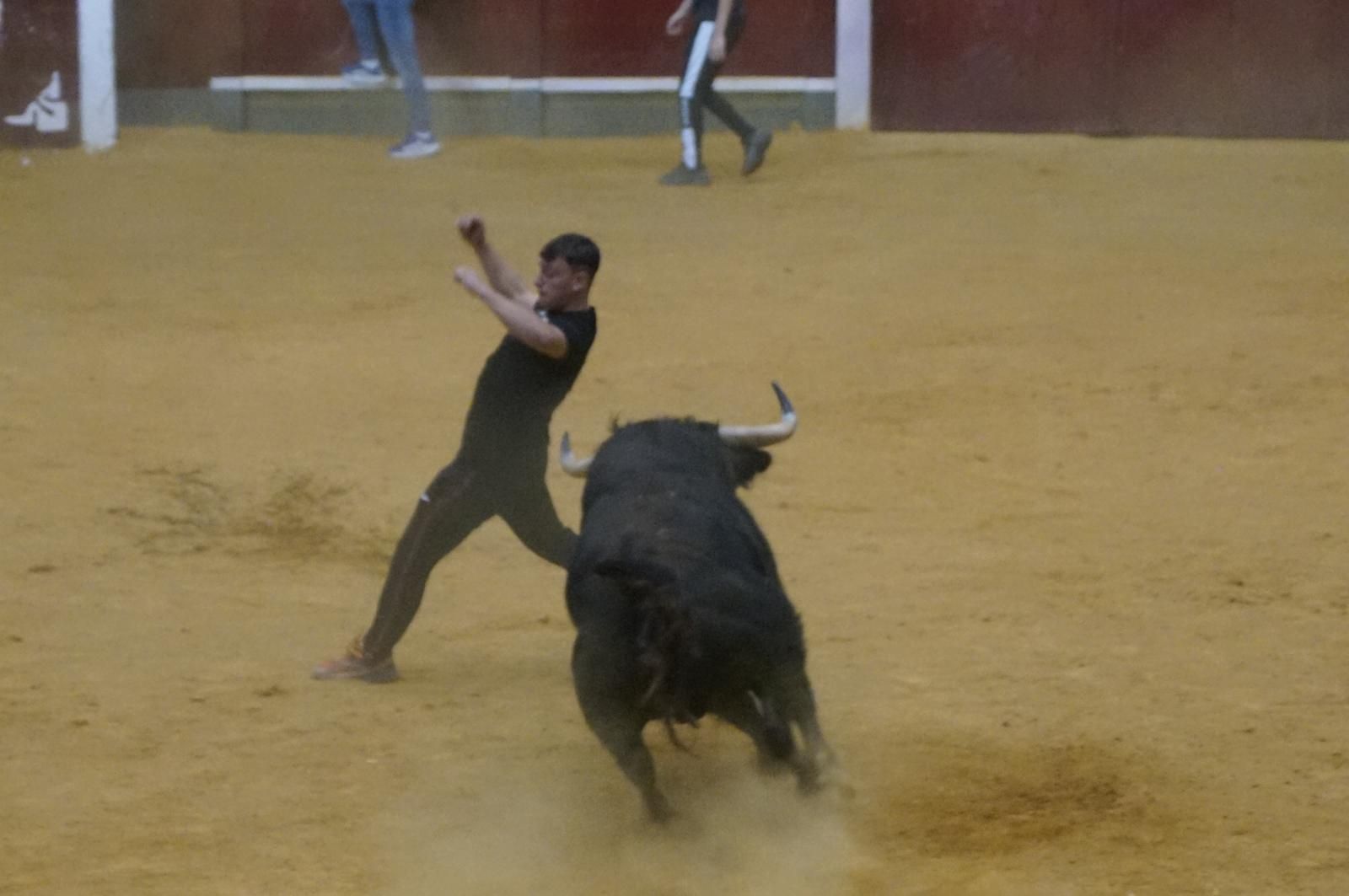 Toro del cajón y capea en Alba de Tormes