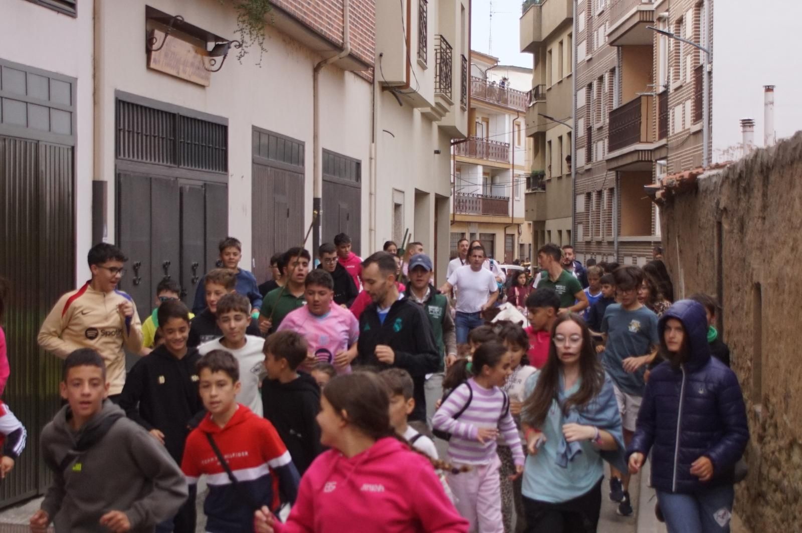 Alba de Tormes celebra un encierro, capea y encierro de minibueyes