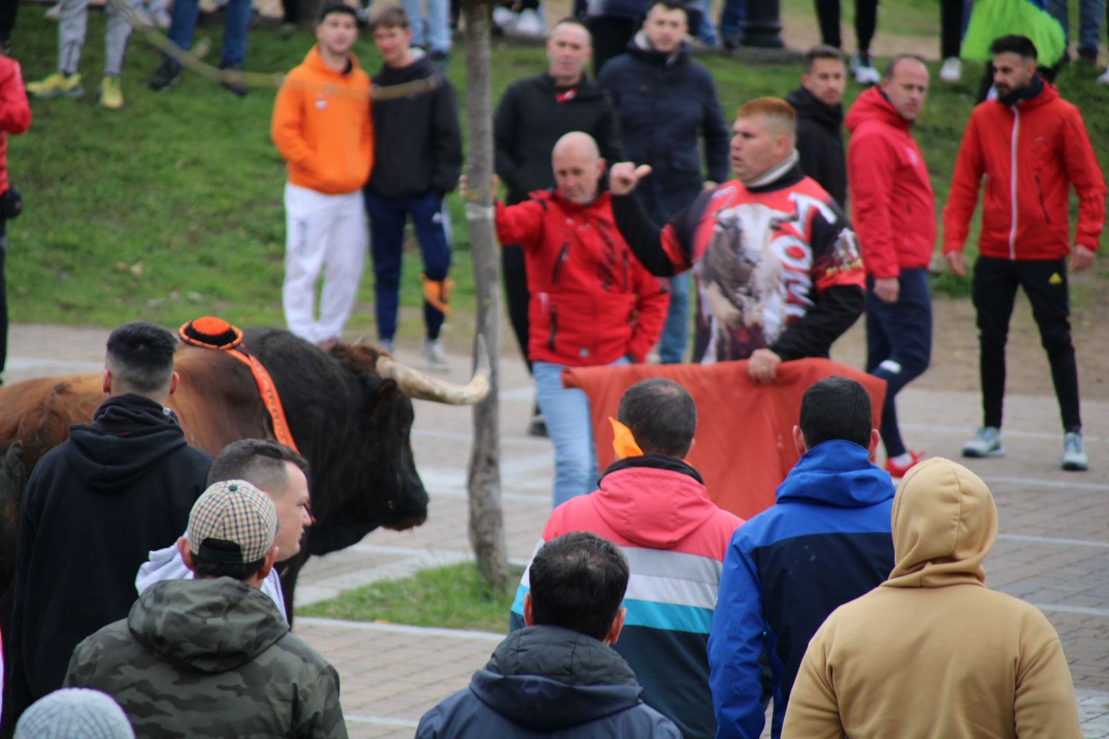 whatsapp-image-2025-03-01-at-11-56-21