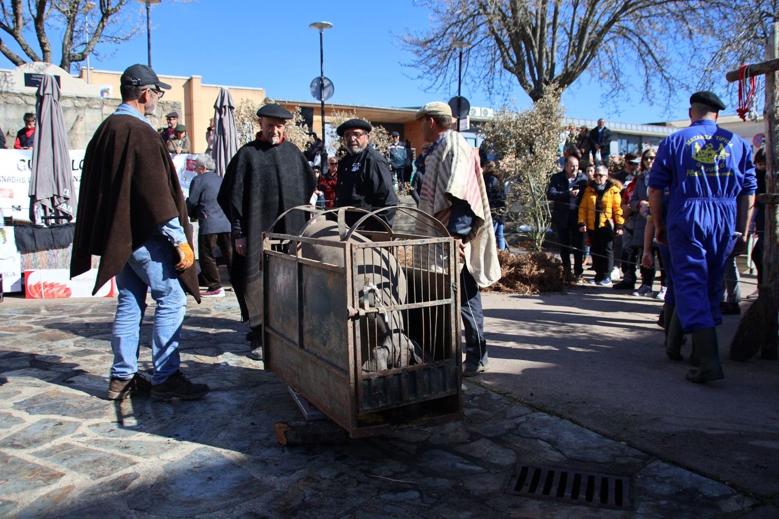 20240217122423-img-6799