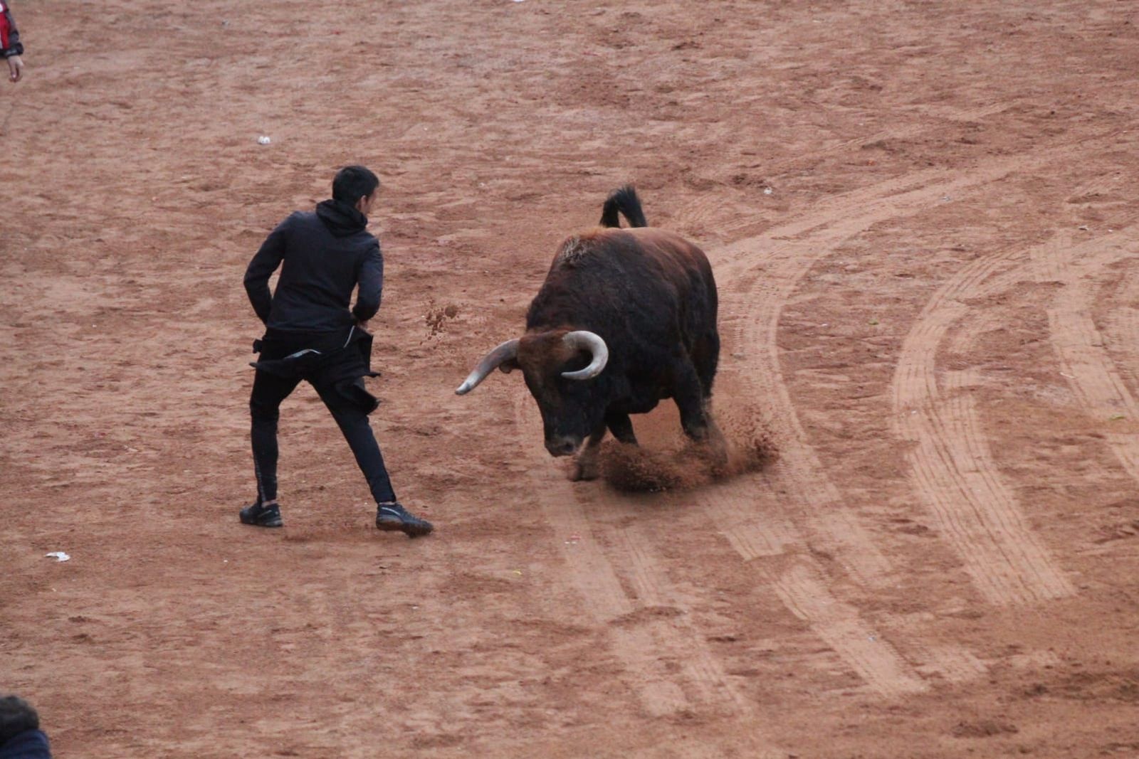GALERÍA | Capea y desencierro de Martes de Carnaval en Ciudad Rodrigo