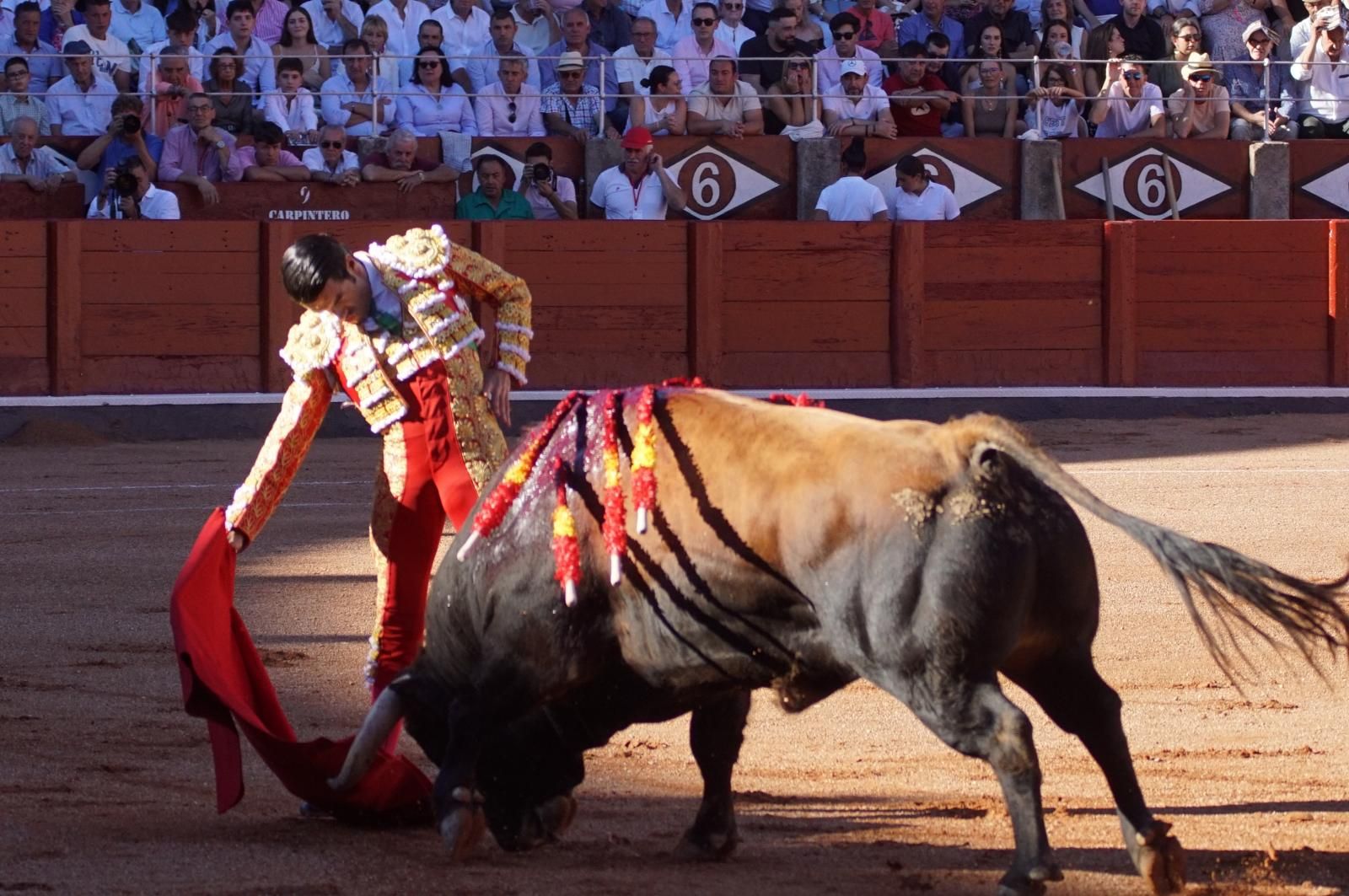 Emilio de Justo, Juan Ortega y Roca Rey inauguran el cartel de figuras en la feria de Salamanca: la corrida de Garcigrande en imágenes