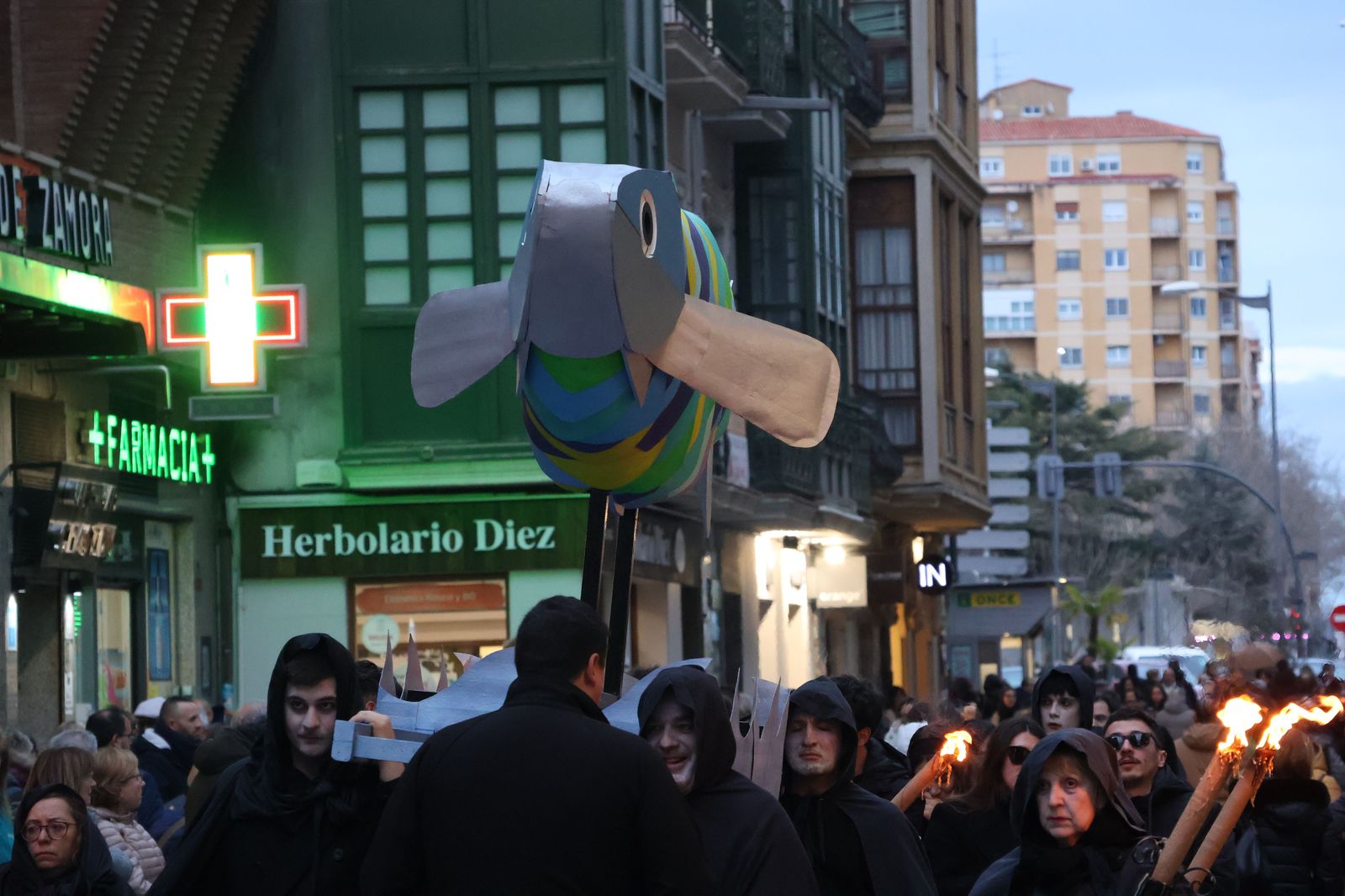 entierro-de-la-sardina-2025-25