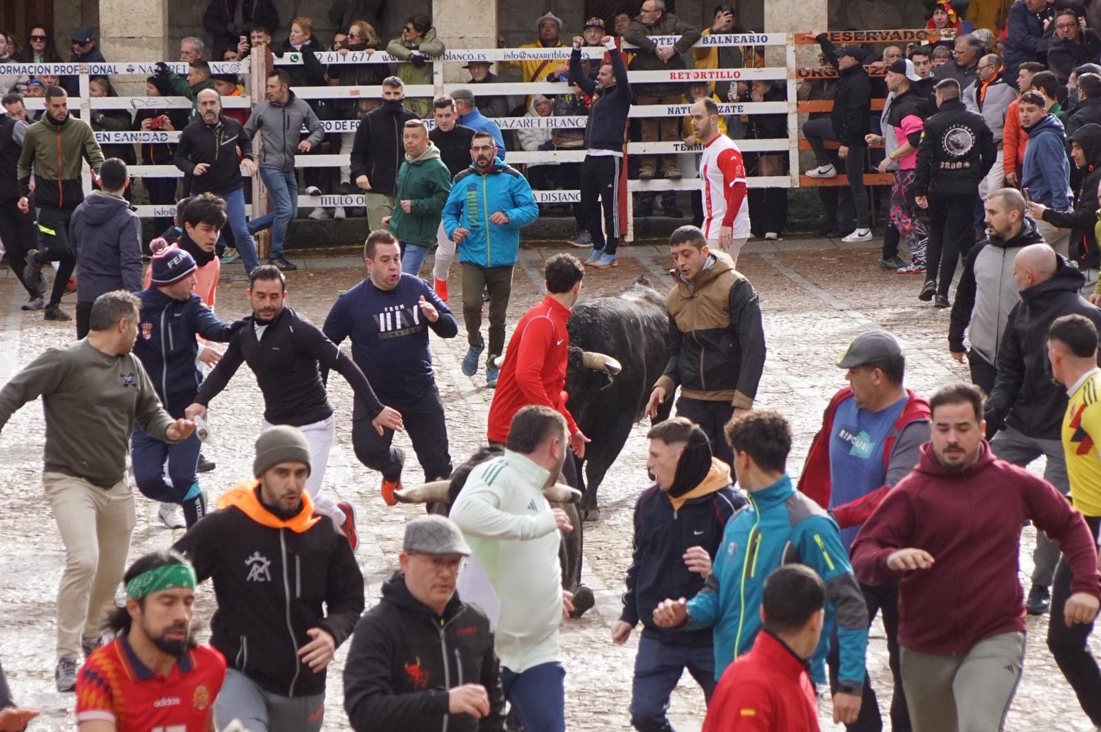 El encierro de Lunes de Carnaval en Ciudad Rodrigo en imágenes