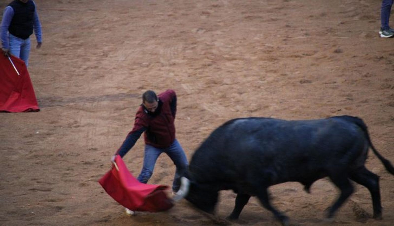 Capea domingo tarde Carnaval del Toro Ciudad Rodrigo 2025 con un astado de Víctorino Martín y de Guadajira. Foto: S24H