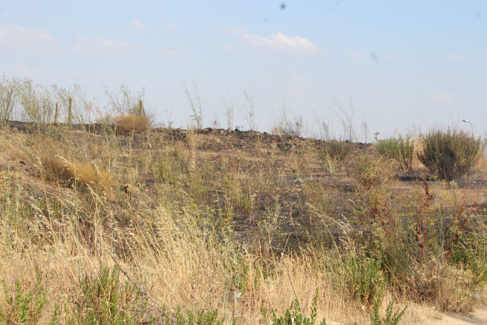 imagen-de-whatsapp-2024-07-30-a-las-18-51-51-4a573223