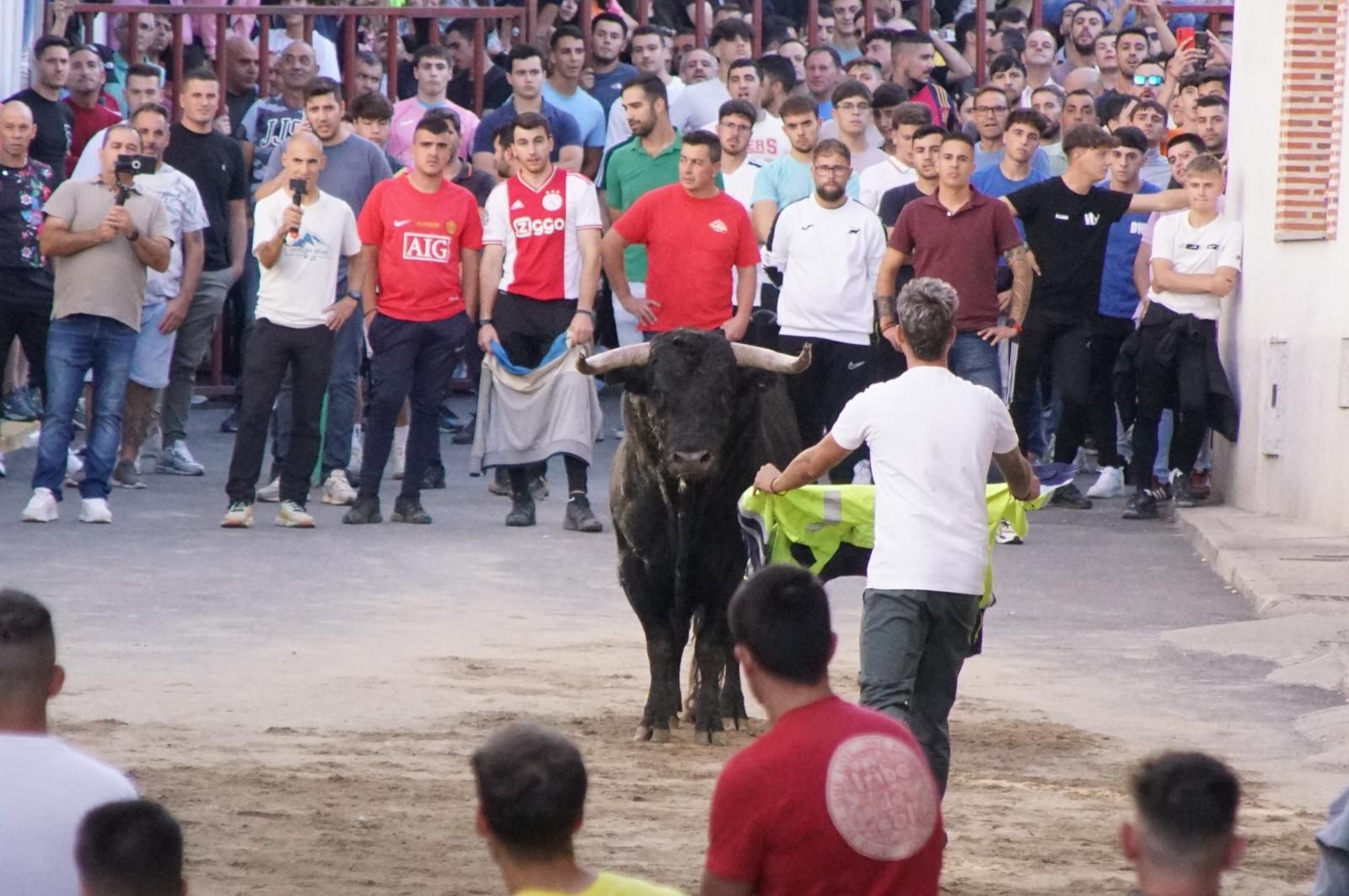 Toro del cajón y capea en Alba de Tormes