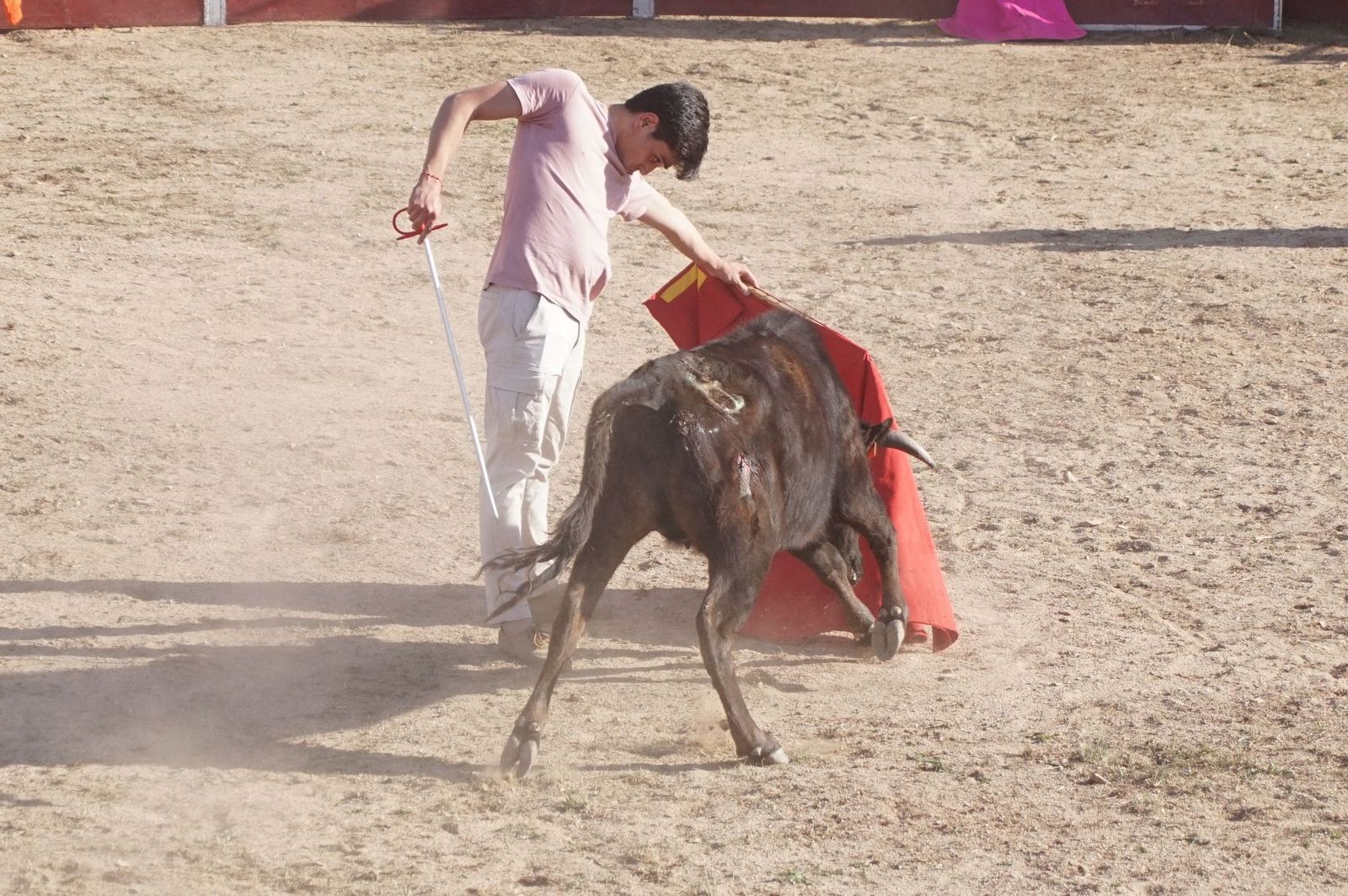 capea-fiestas-de-carrascal-de-barregas-30