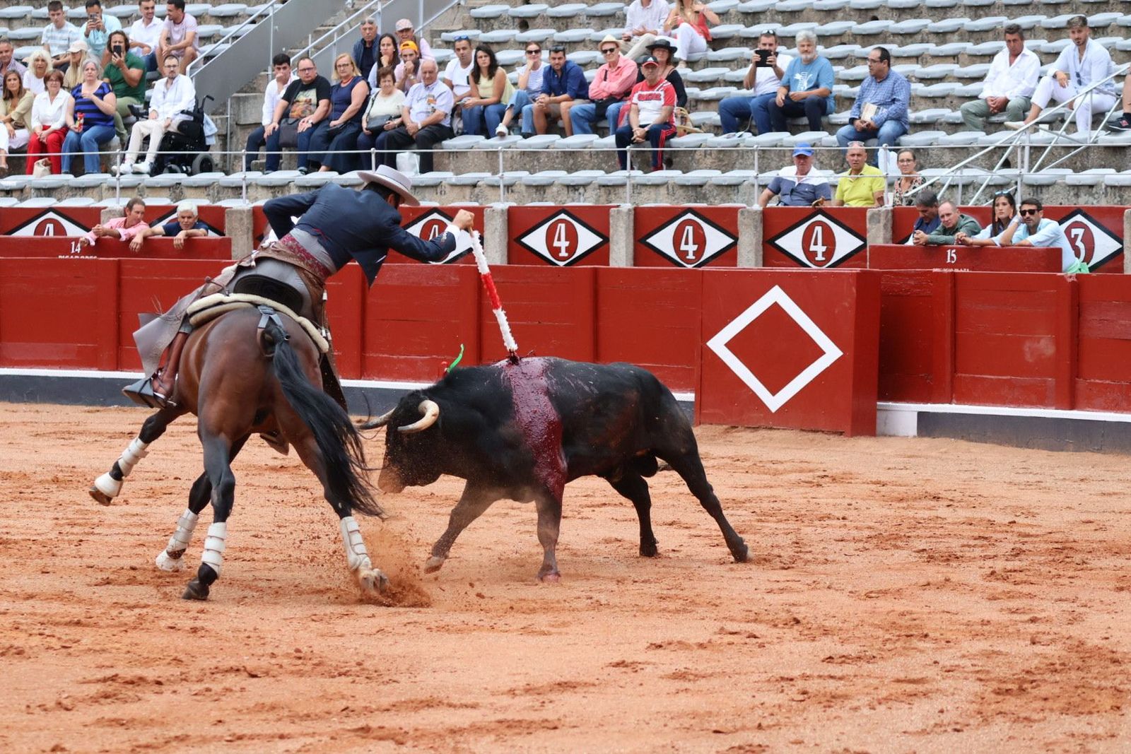 20230909173912-img-0509