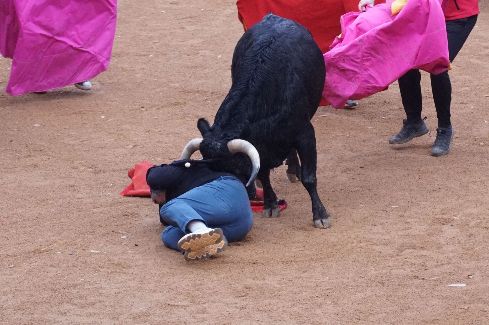 Capea matinal de domingo de carnaval en Ciudad Rodrigo (44).jpeg
