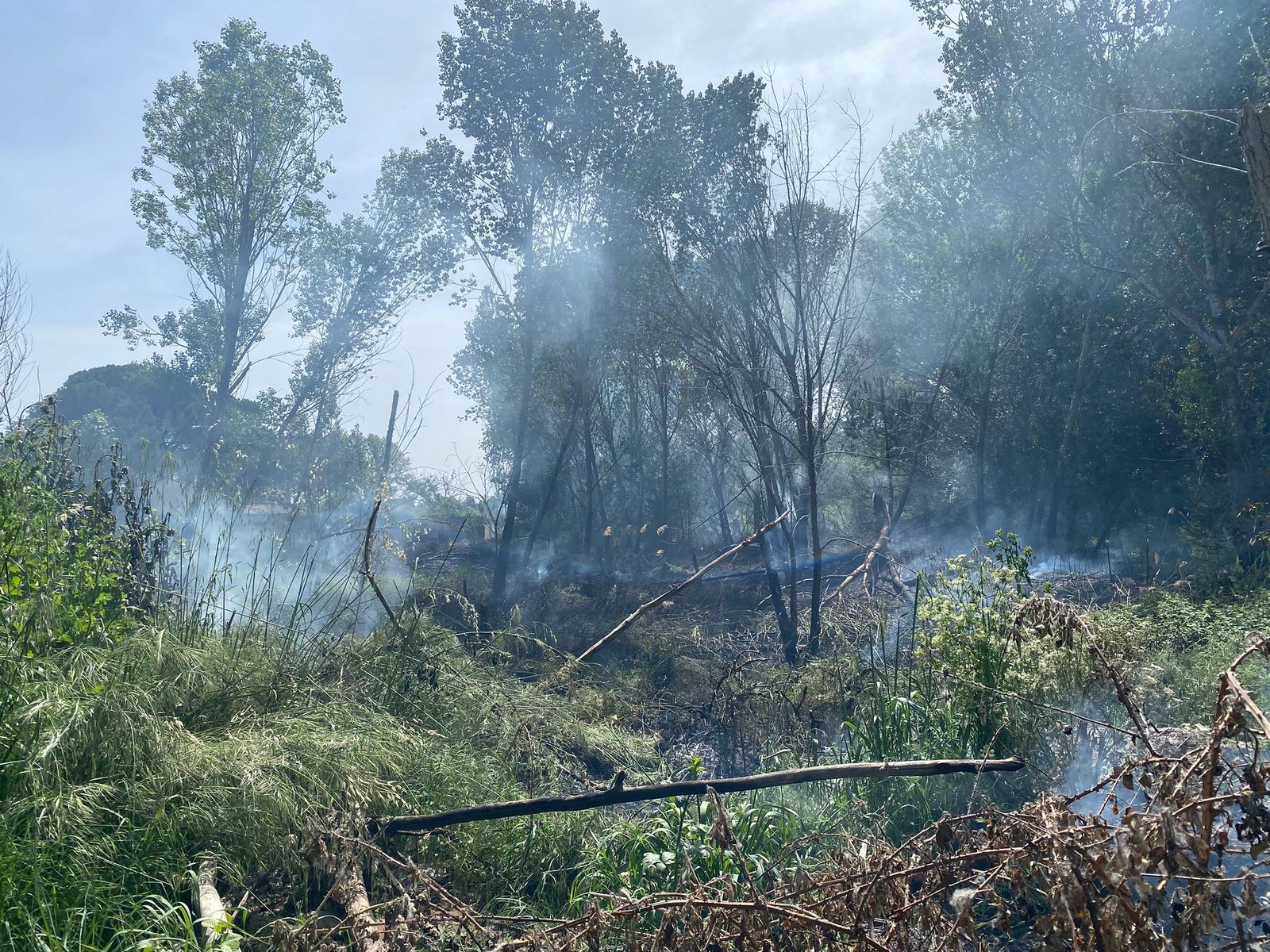 Los bomberos sofocan un incendio entre el puente del Pradillo y La Fontana