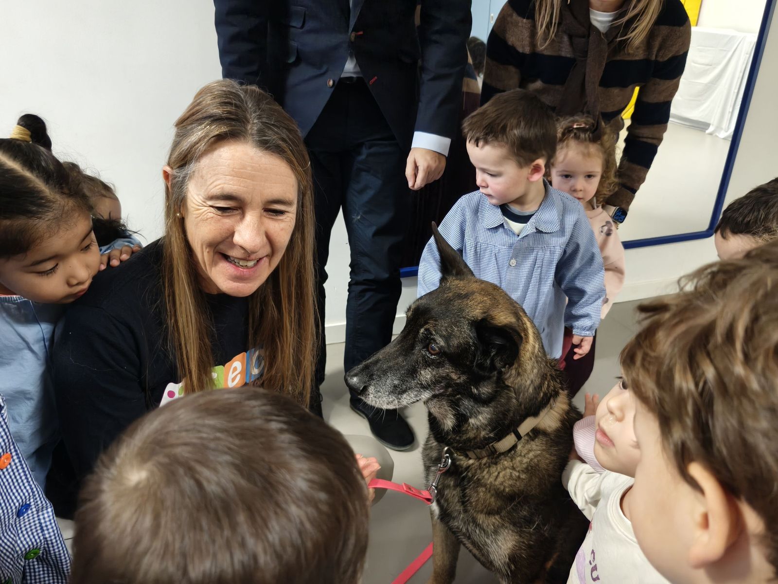 Talleres escolares de tenencia responsable de animales