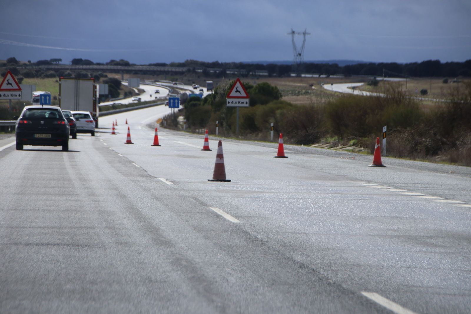 Corte de un caril en la a66 de Fresno Alhándiga - Montejo por baches