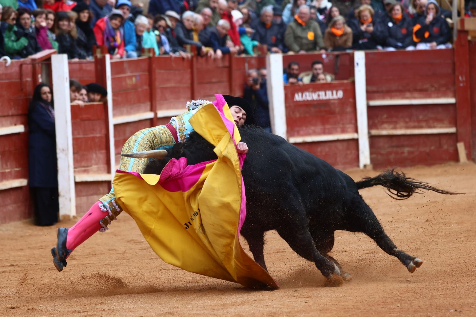 Novillada con picadores de lunes en el Carnaval del Toro de Ciudad Rodrigo 2026
