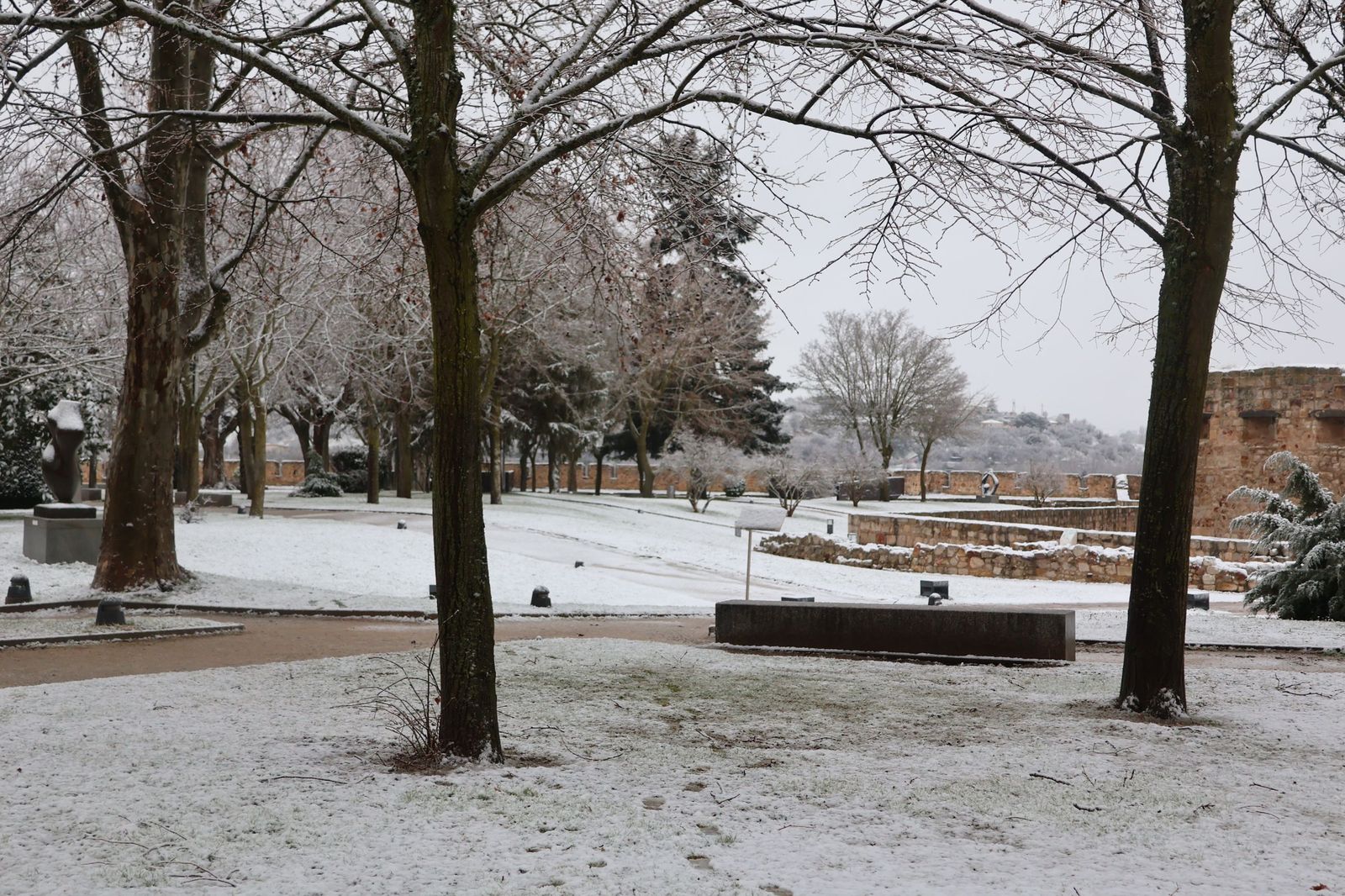 GALERÍA | Nieve en Zamora capital este miércoles