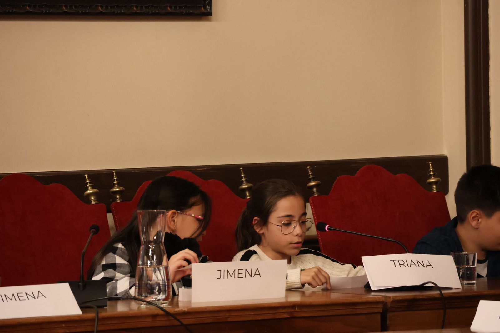 Pleno de la Infancia y la Adolescencia en el Ayuntamiento de Zamora (19).JPG