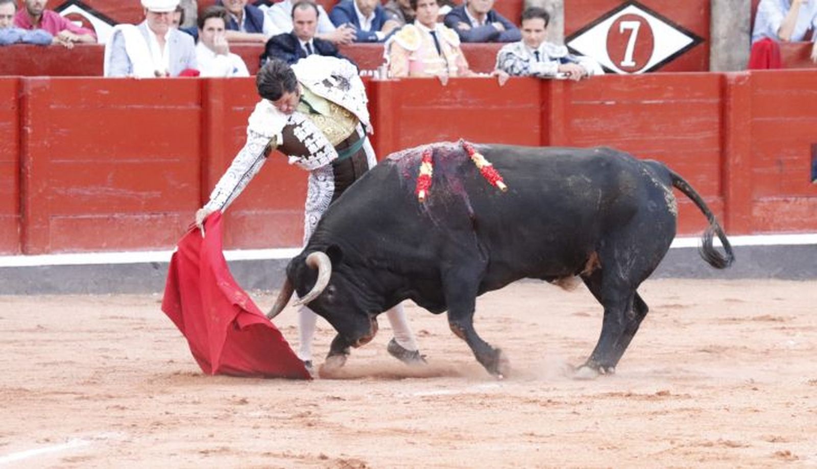 WhatsApp Image 2022 09 18 at 7.49.20 PM