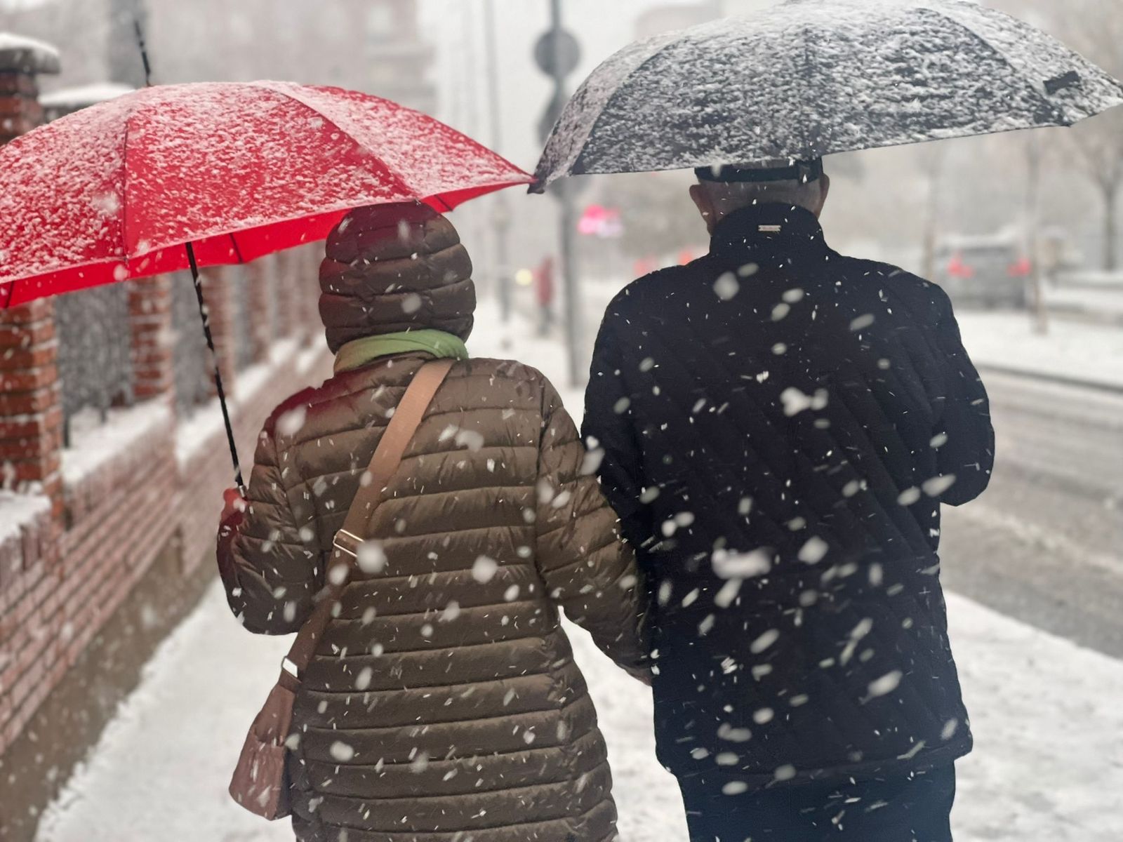 La nieve anega carreteras y tiñe de blanco Salamanca capital y provincia: imágenes de la nevada de este 28 de enero