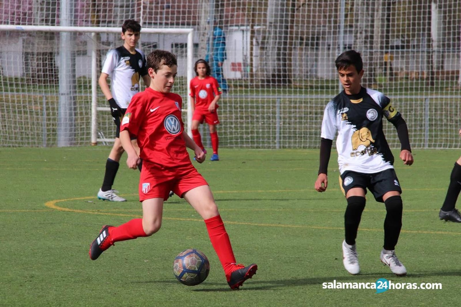 Fútbol base regional (34) (Copy)