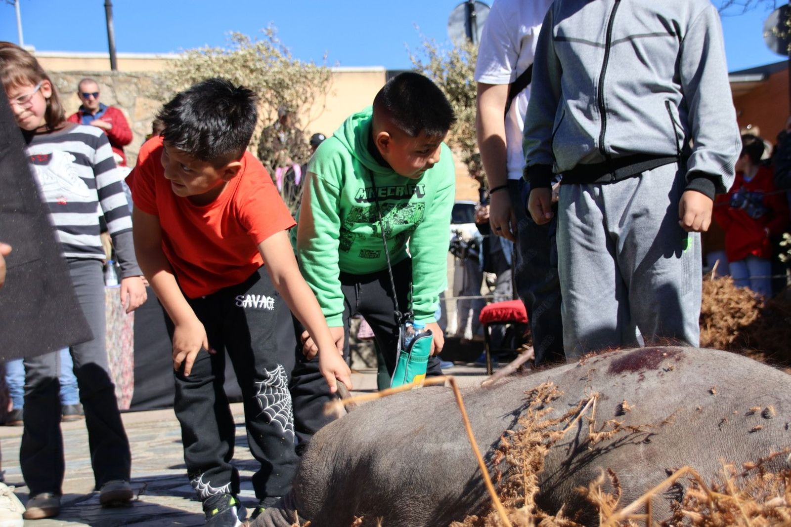 20240203131333-img-4449