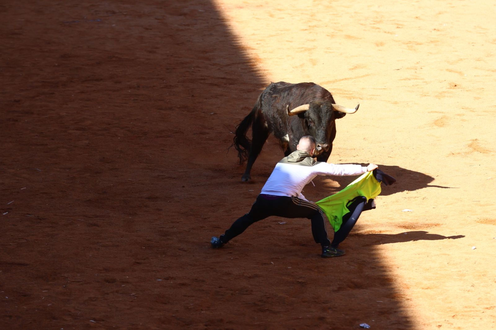 Capea de mañana en el martes del Carnaval del Toro de Ciudad Rodrigo