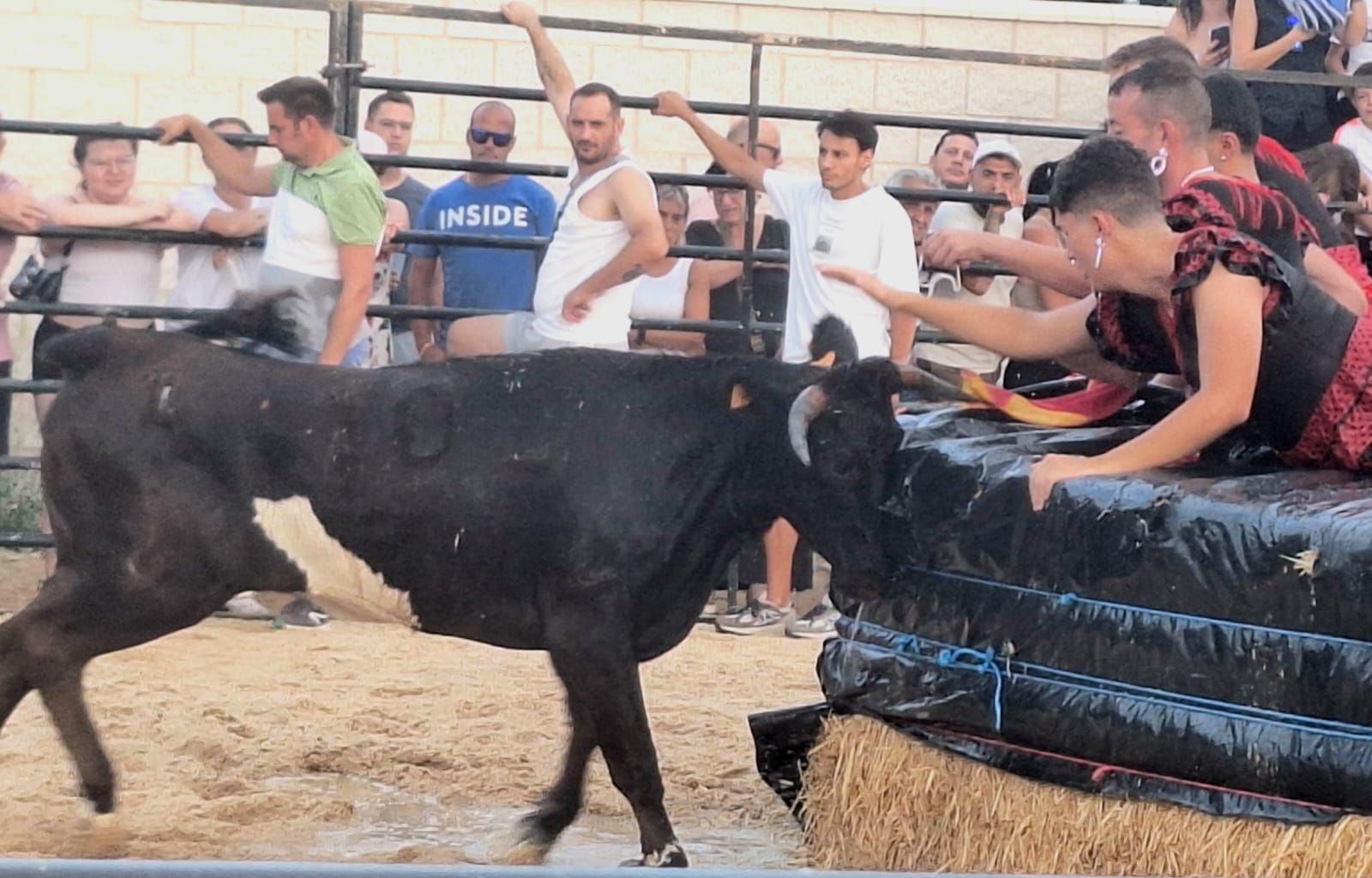 Cientos de personas disfrutan de las vaquillas de Valdelosa