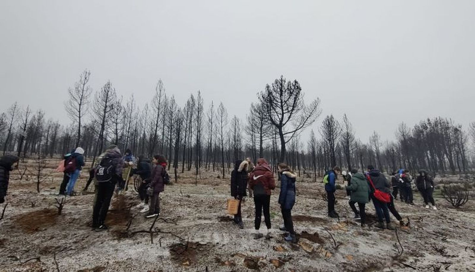 Jornada de reforestación con 2°ESO dentro del proyecto Adopta un Árbol