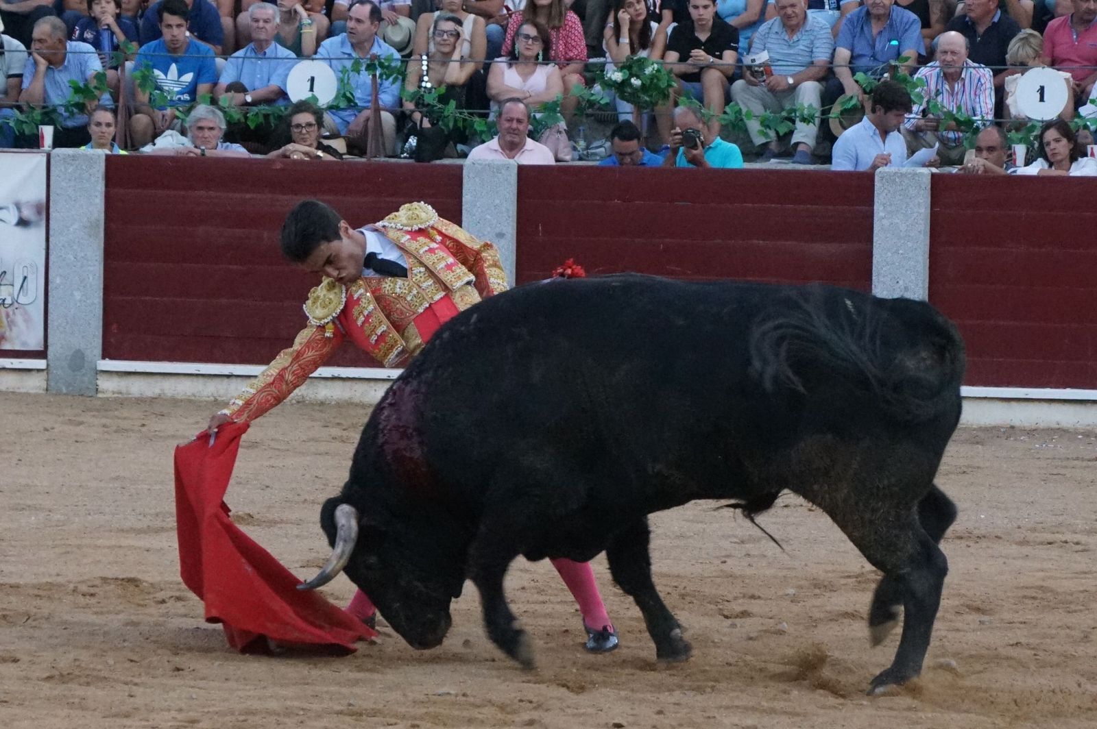 corrida-rejones-guijuelo-38