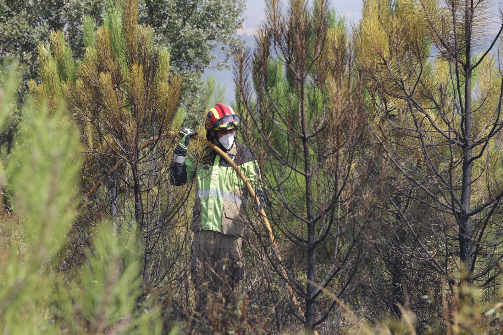 Incendio de Puercas. La situación entre Abejera y Riofrío