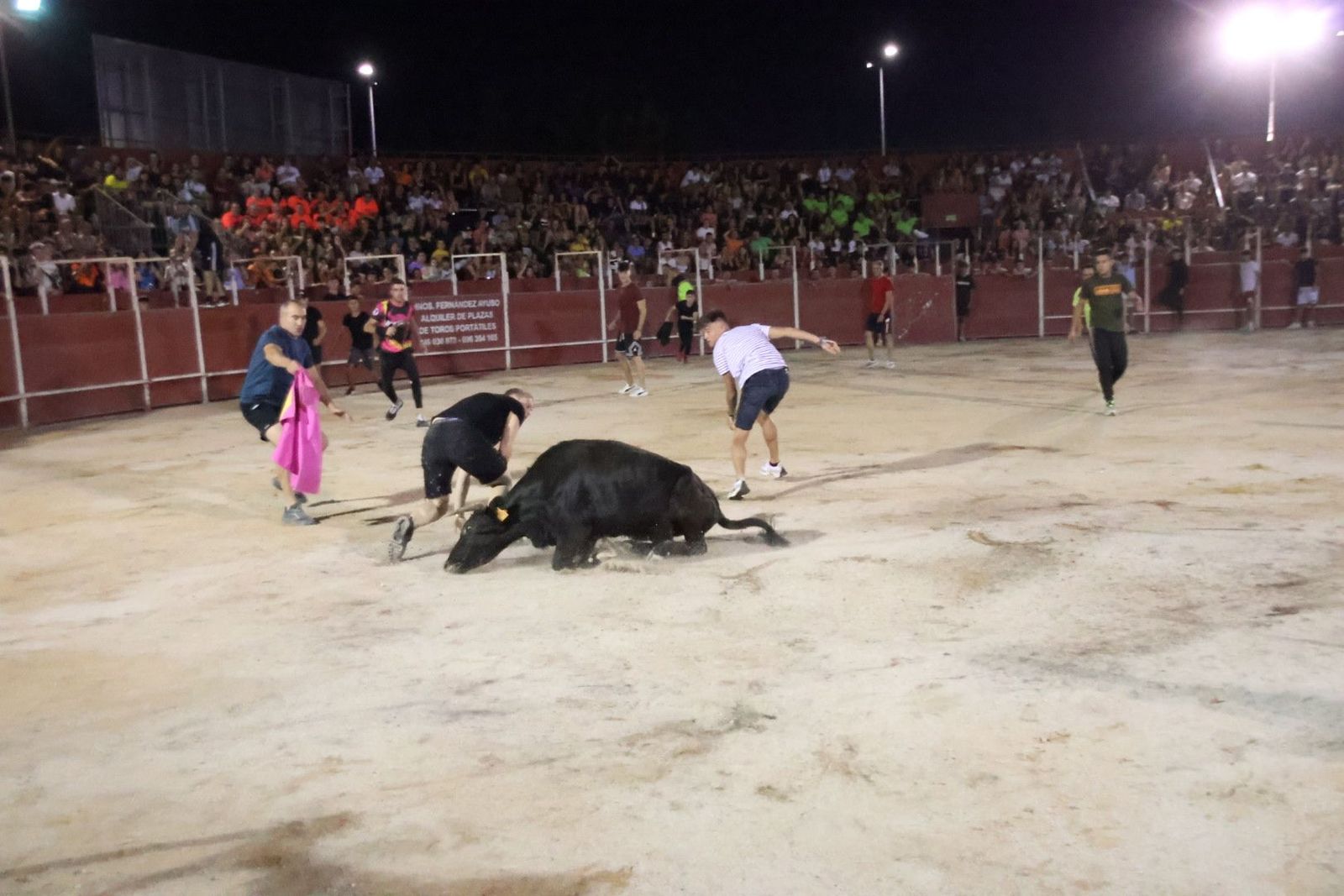 20230812212616-img-1252