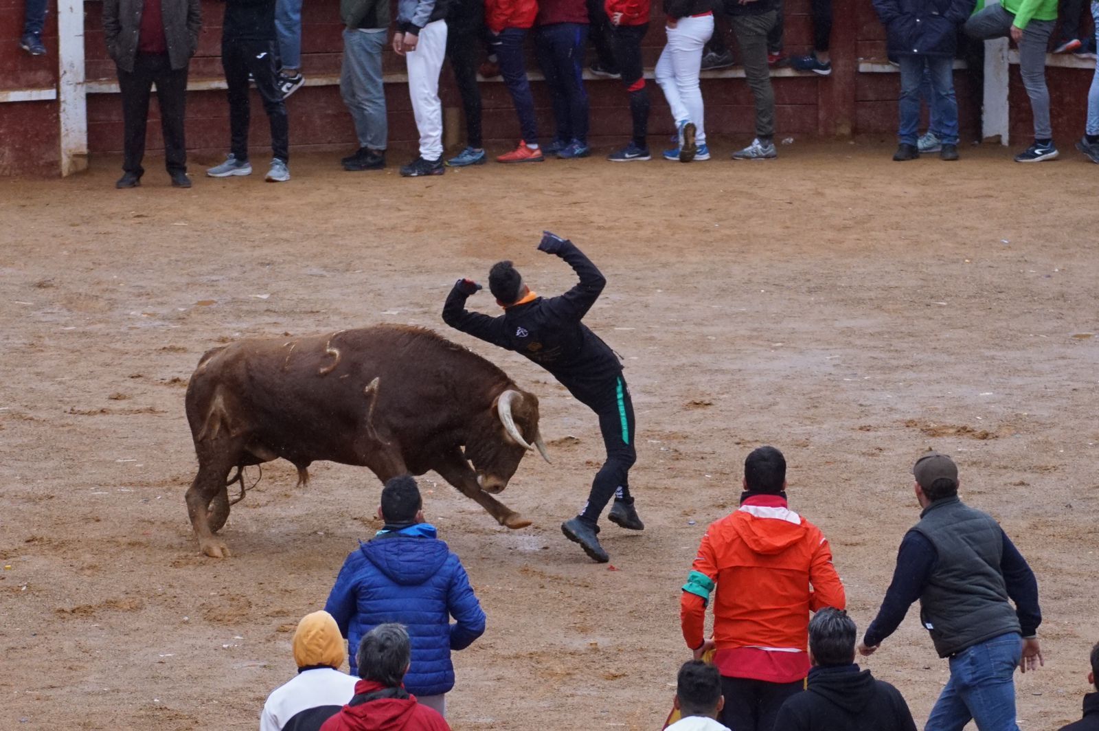 whatsapp-image-2024-02-11-at-14-02-47-2