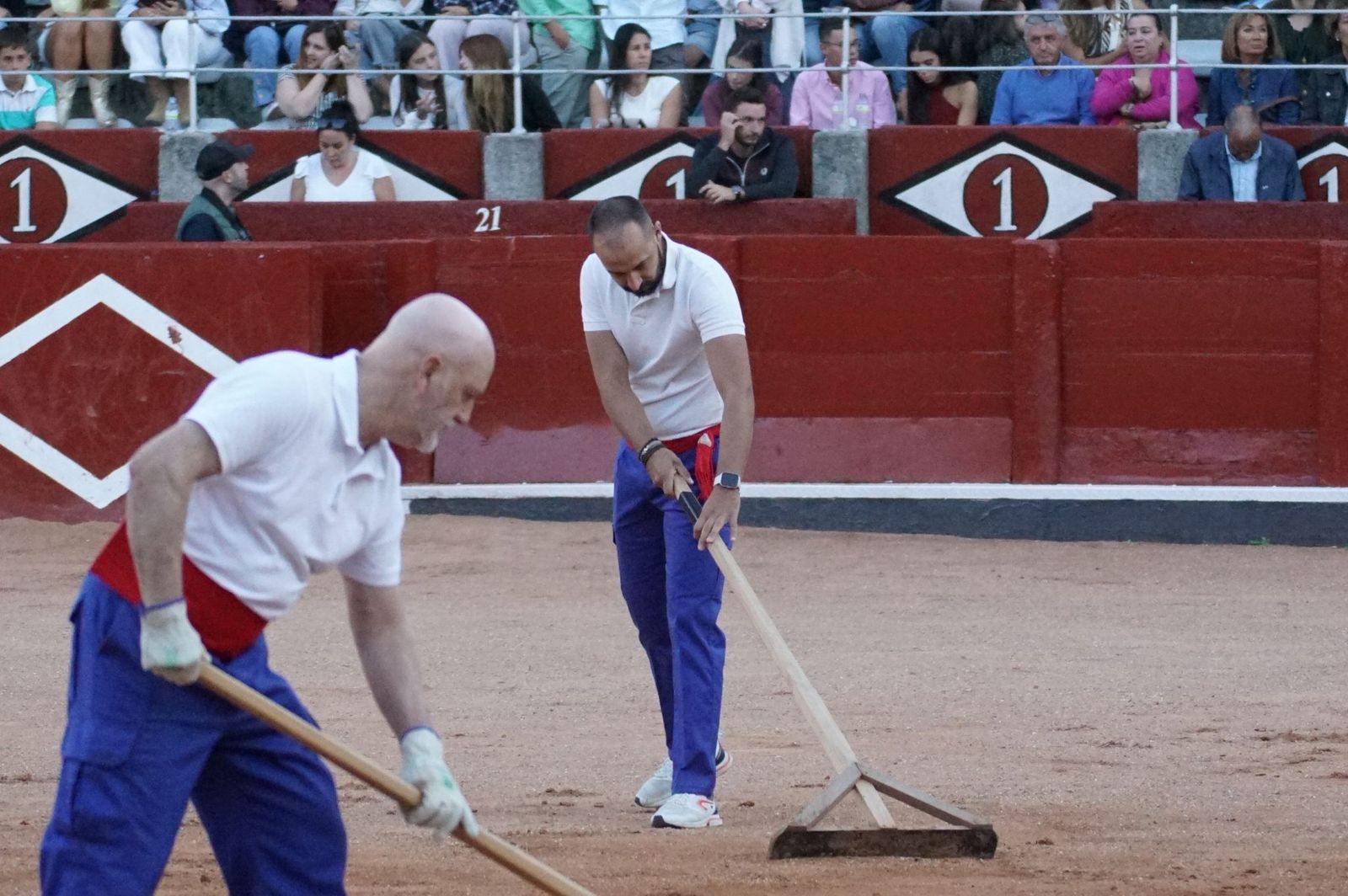 Clase práctica con alumnos de la Escuela de Tauromaquia de Salamanca (Diego Mateos, Noel García y Álvaro Rojo con erales de Esteban Isidro)