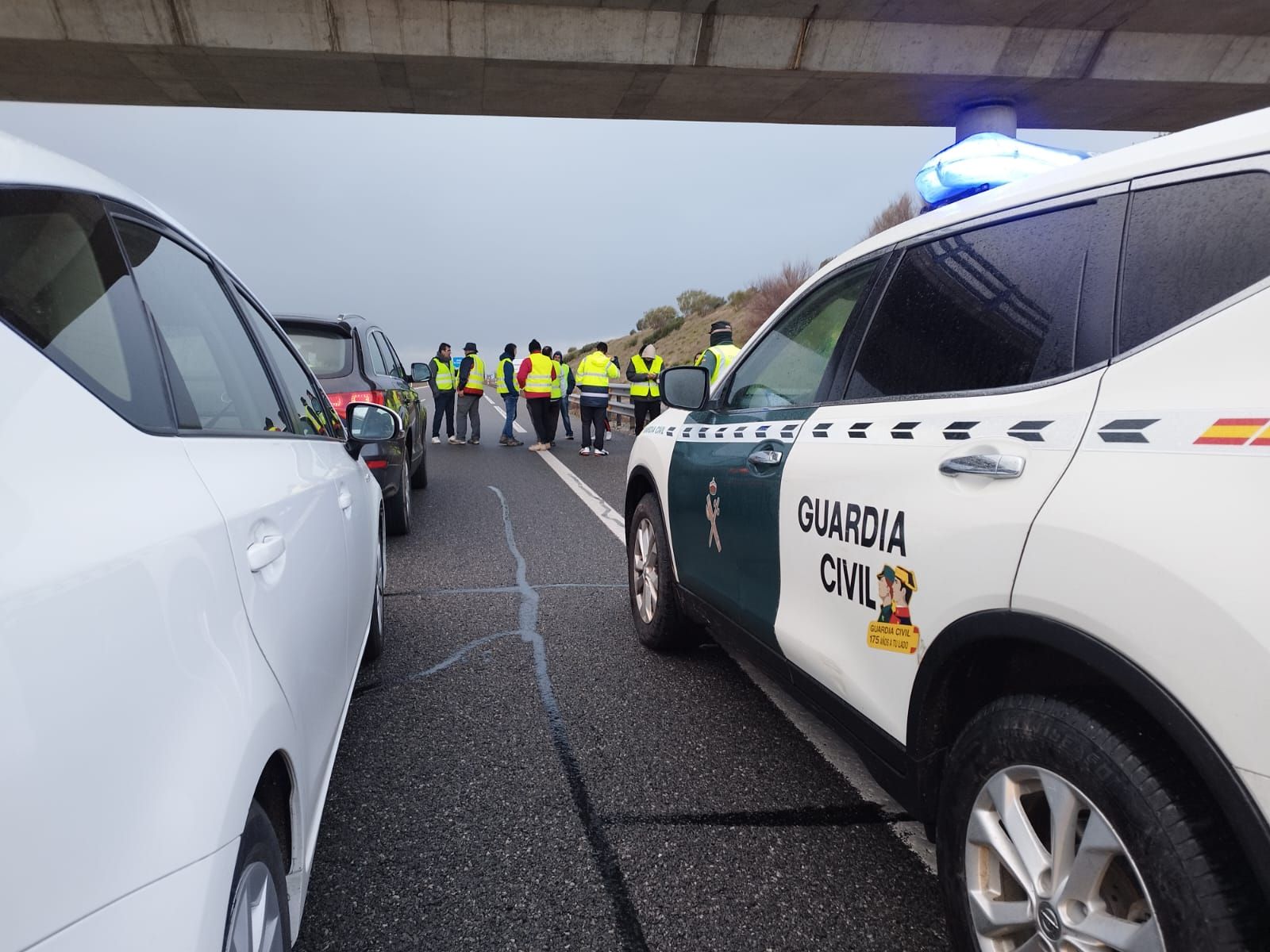 whatsapp-image-2024-02-09-at-18-07-34